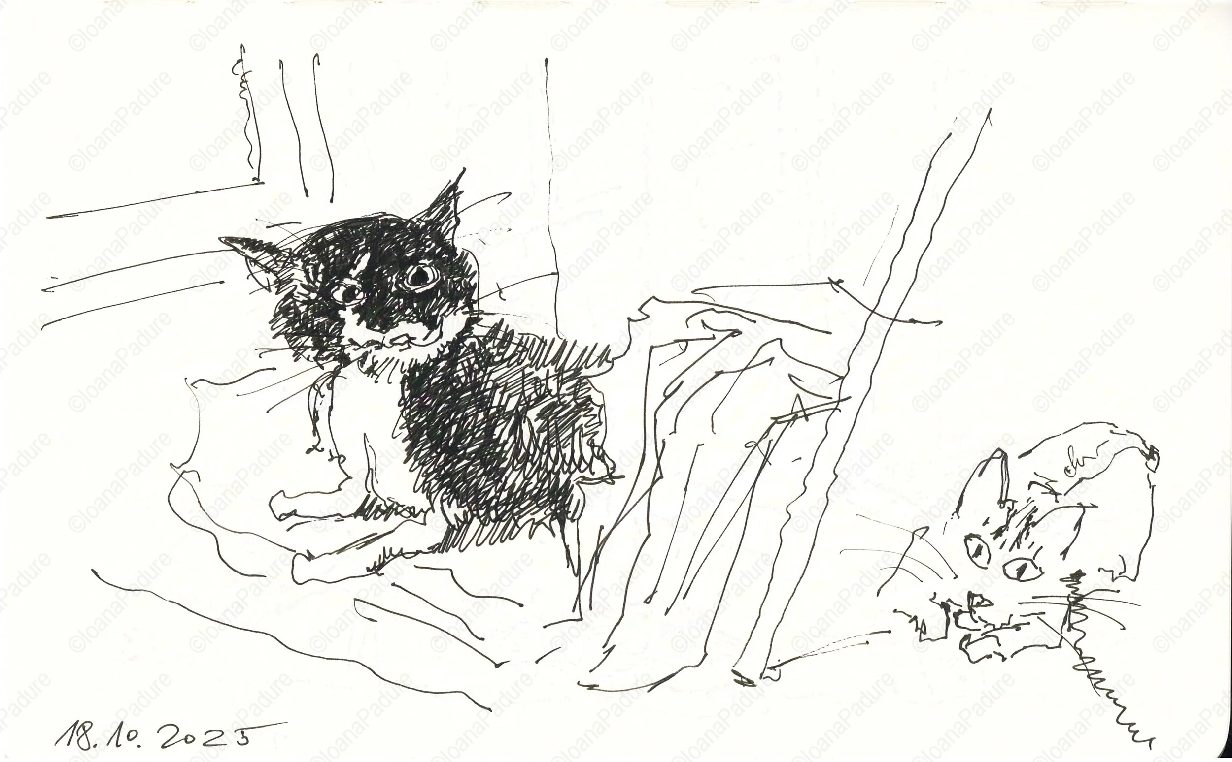 liner on paper, 13x21cm, 11.2025 (3/4)