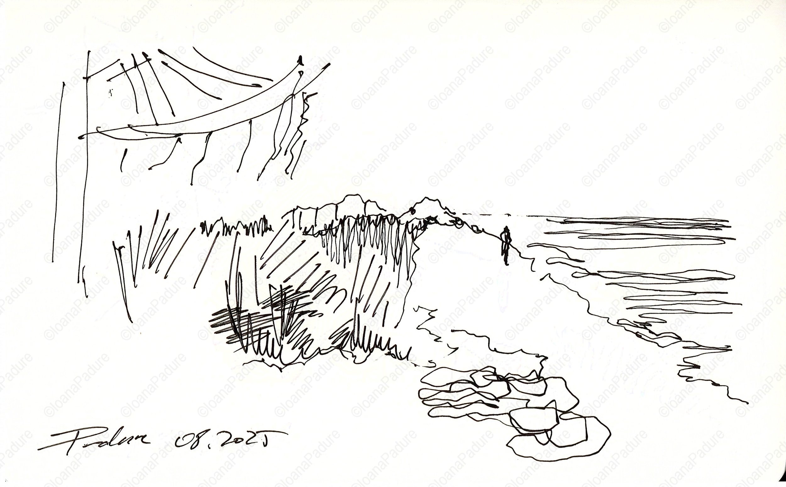 liner on paper, 13x21cm, 08.2025 (5/16)