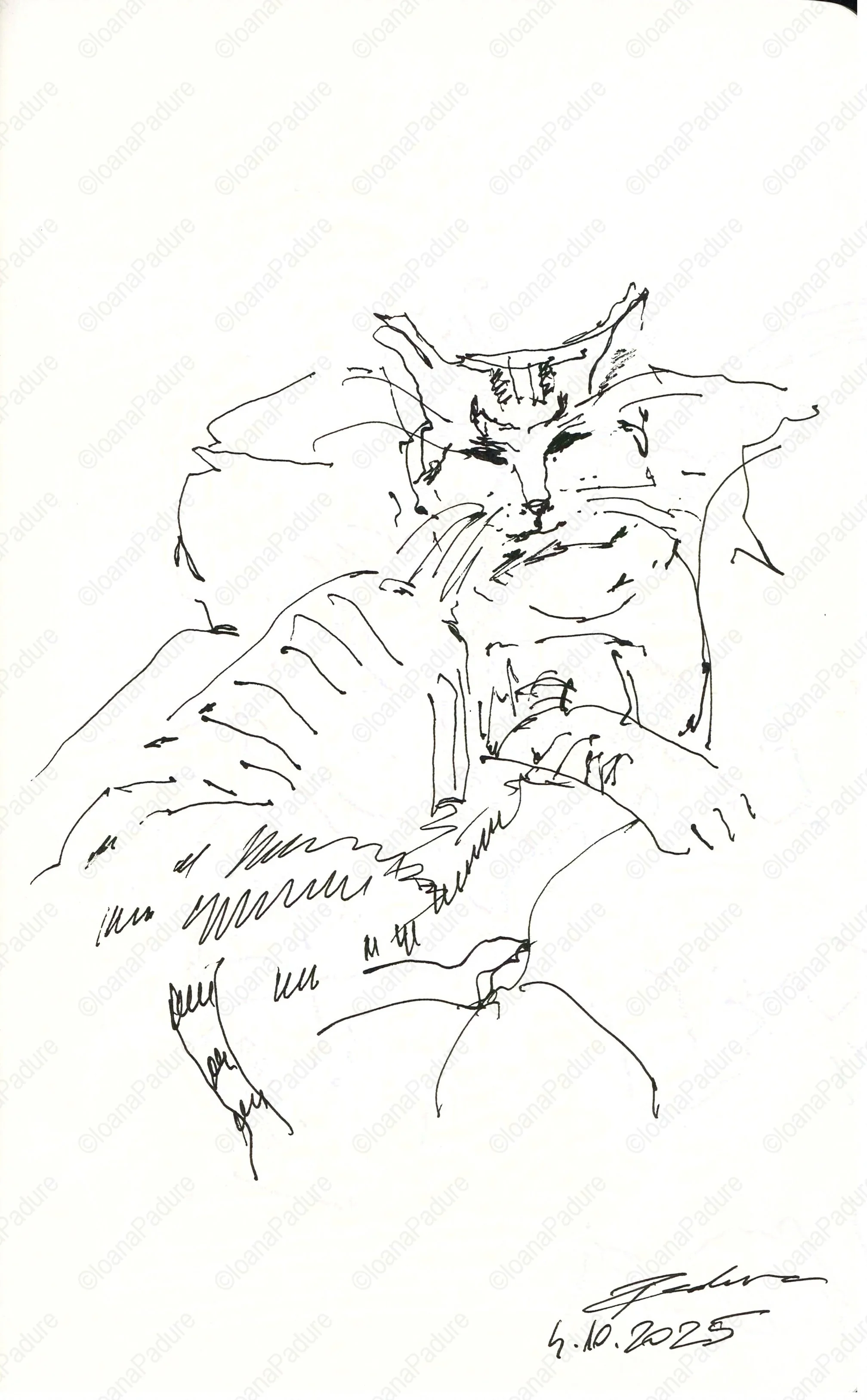 liner on paper, 13x21cm, 10.2025 (1/4)