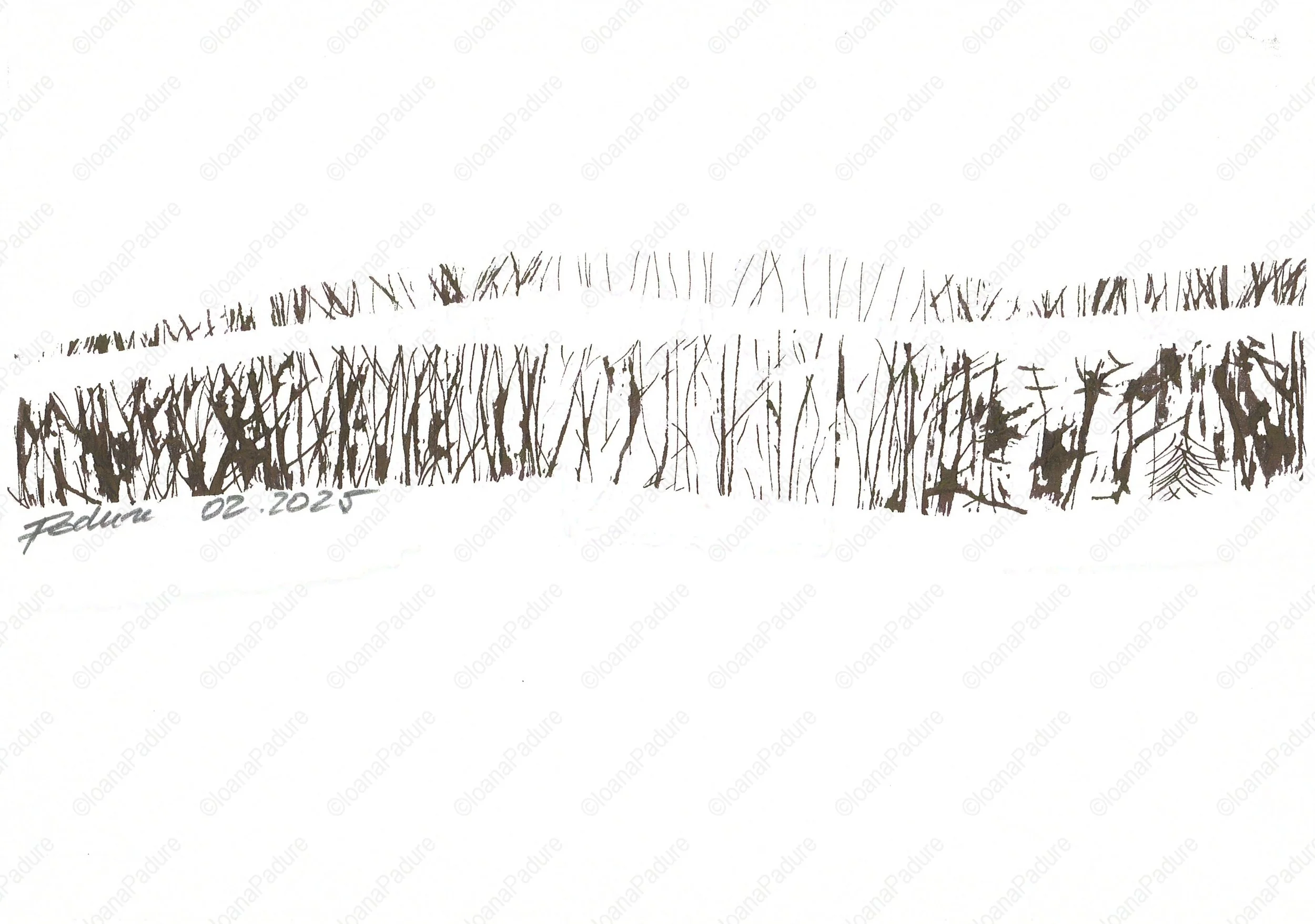 ink on paper, 14.8x21cm, 02.2025 - all white series