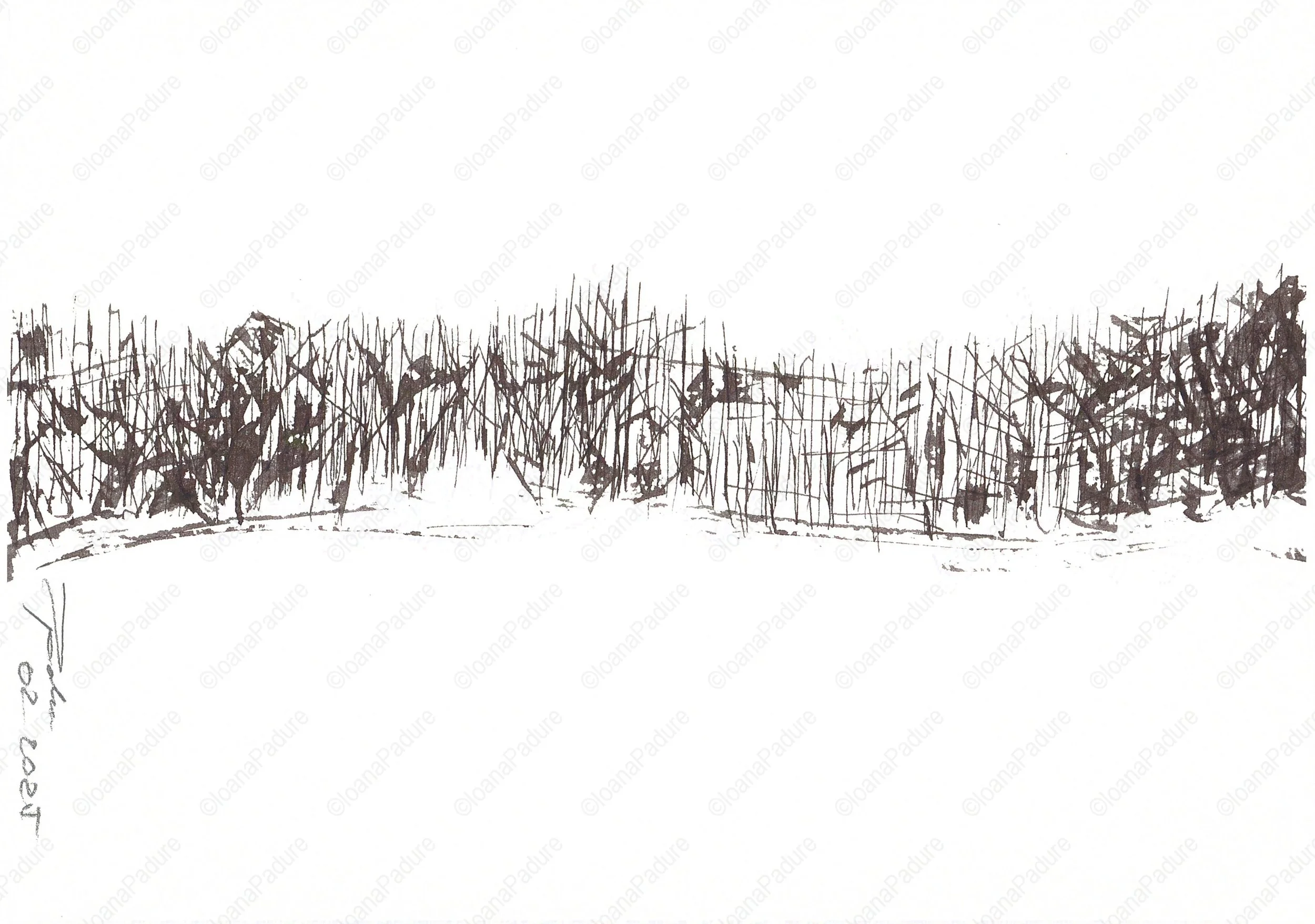 ink on paper, 14.8x21cm, 02.2025 - all white series