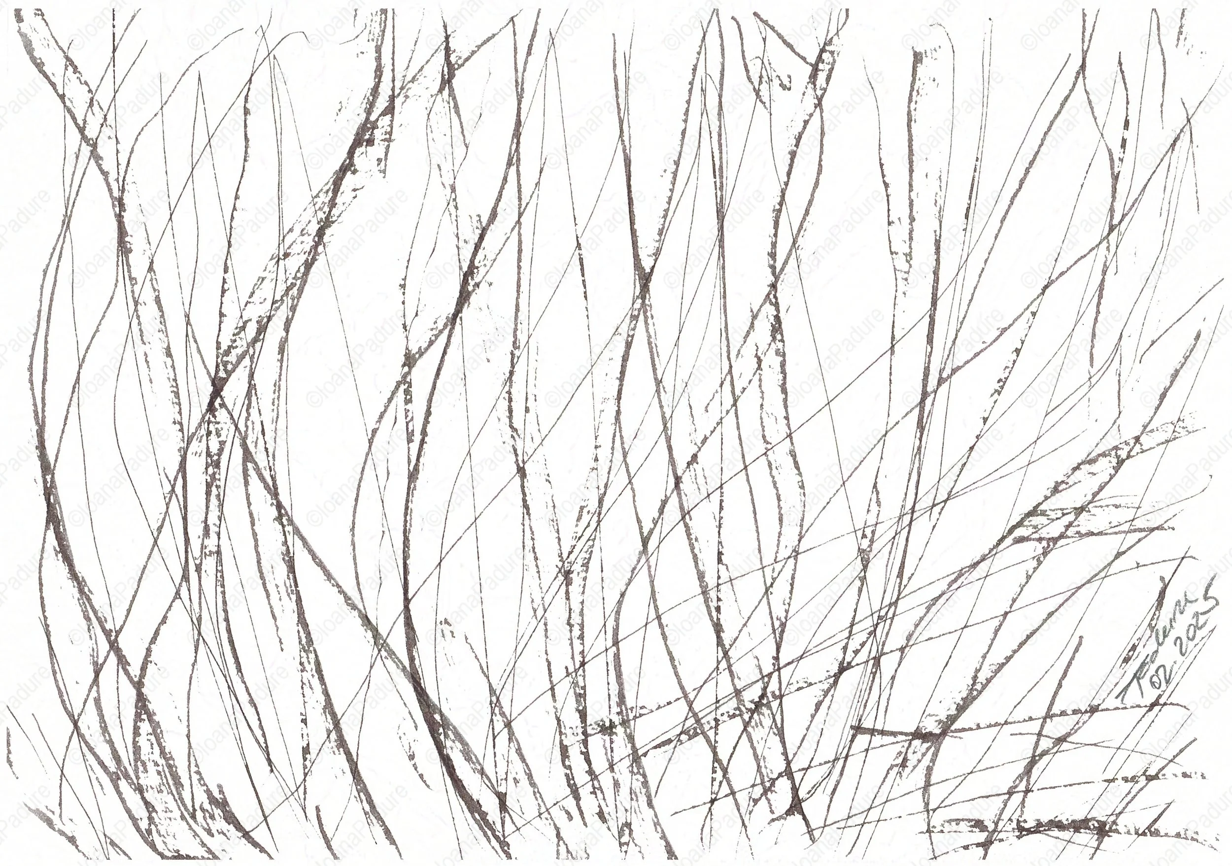 ink on paper, 14.8x21cm, 02.2025 - all white series