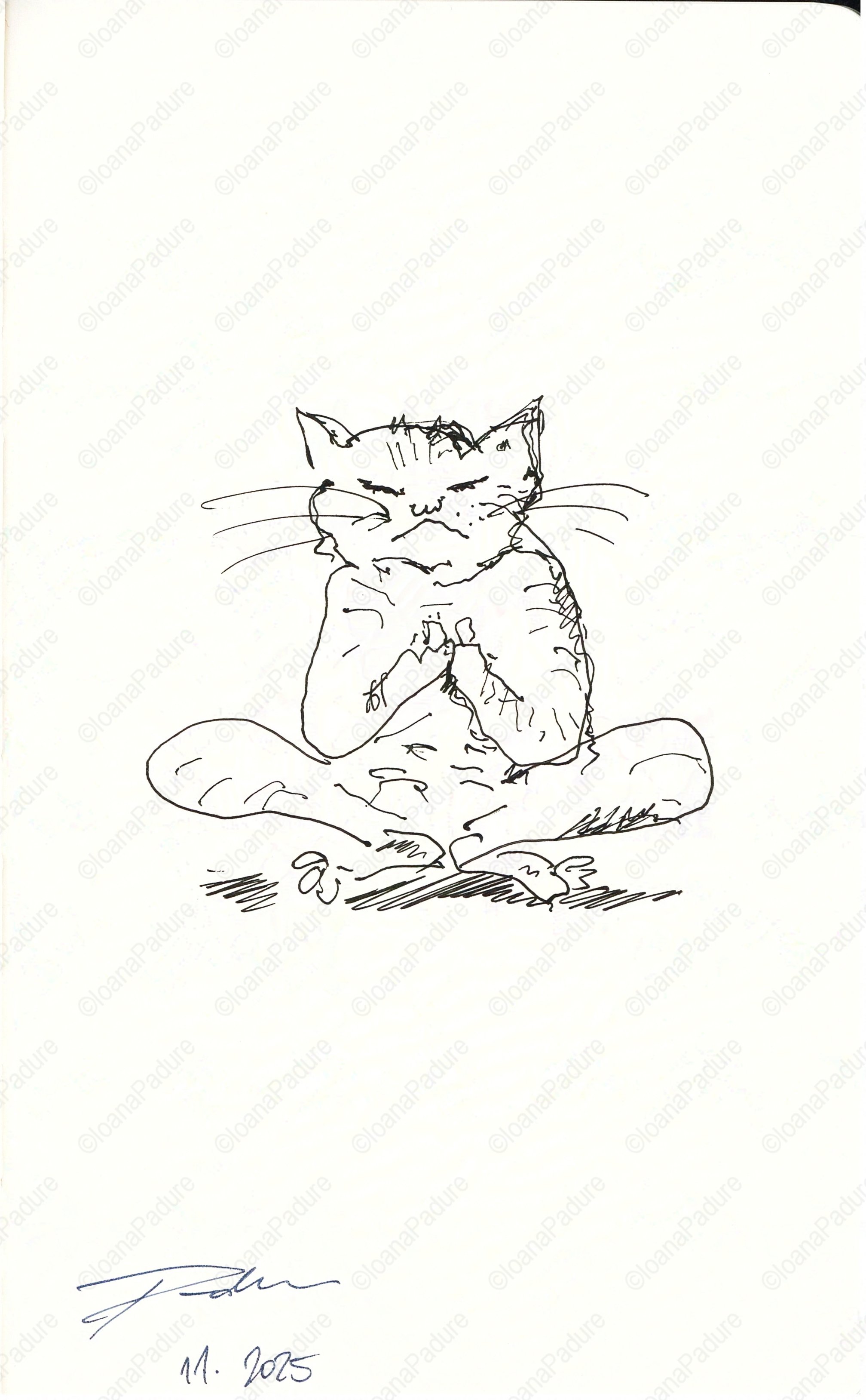 liner on paper, 13x21cm, 10.2025 (4/4)