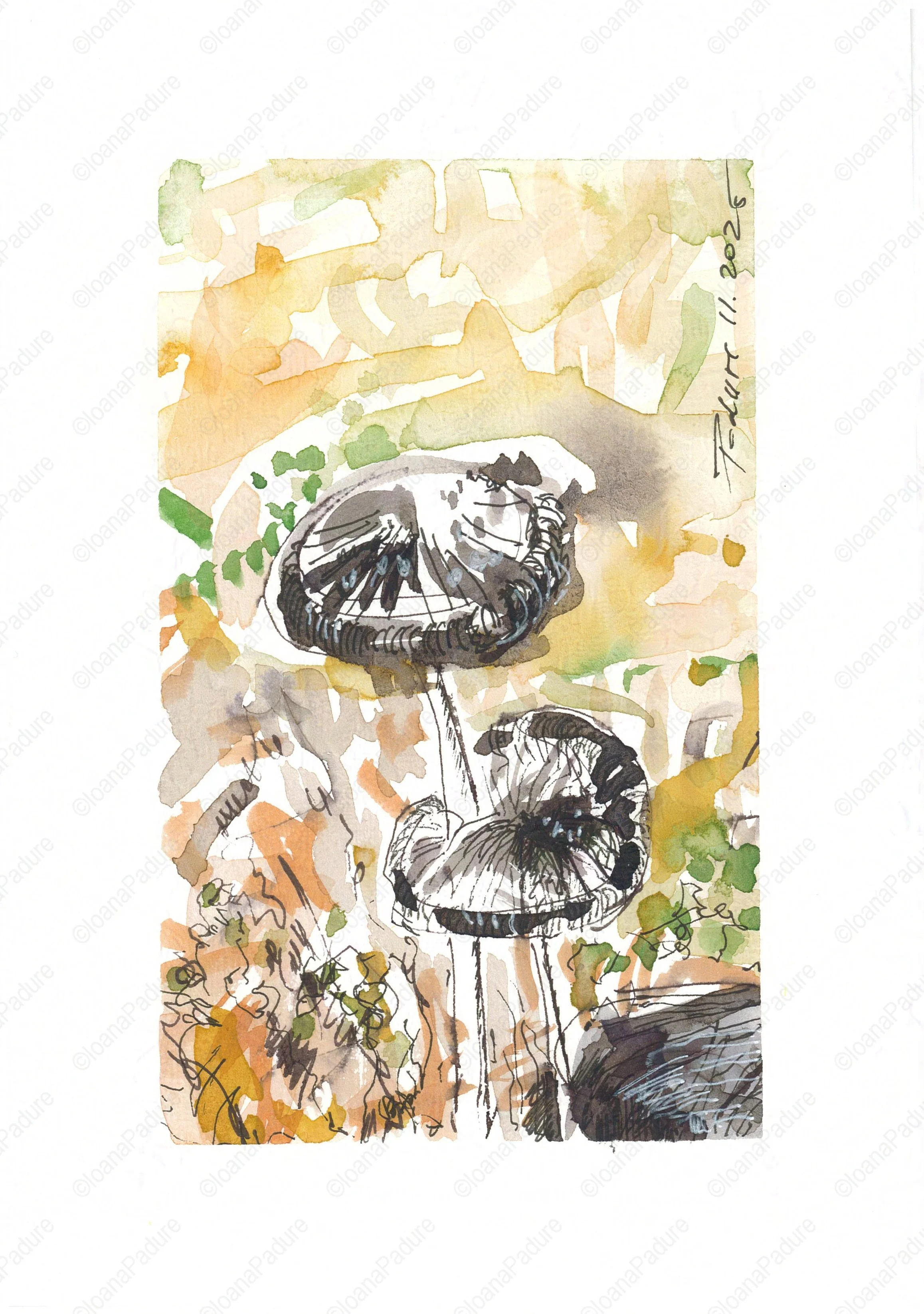 watercolours on paper, 14.8x21cm, 11.2025 (4/6)