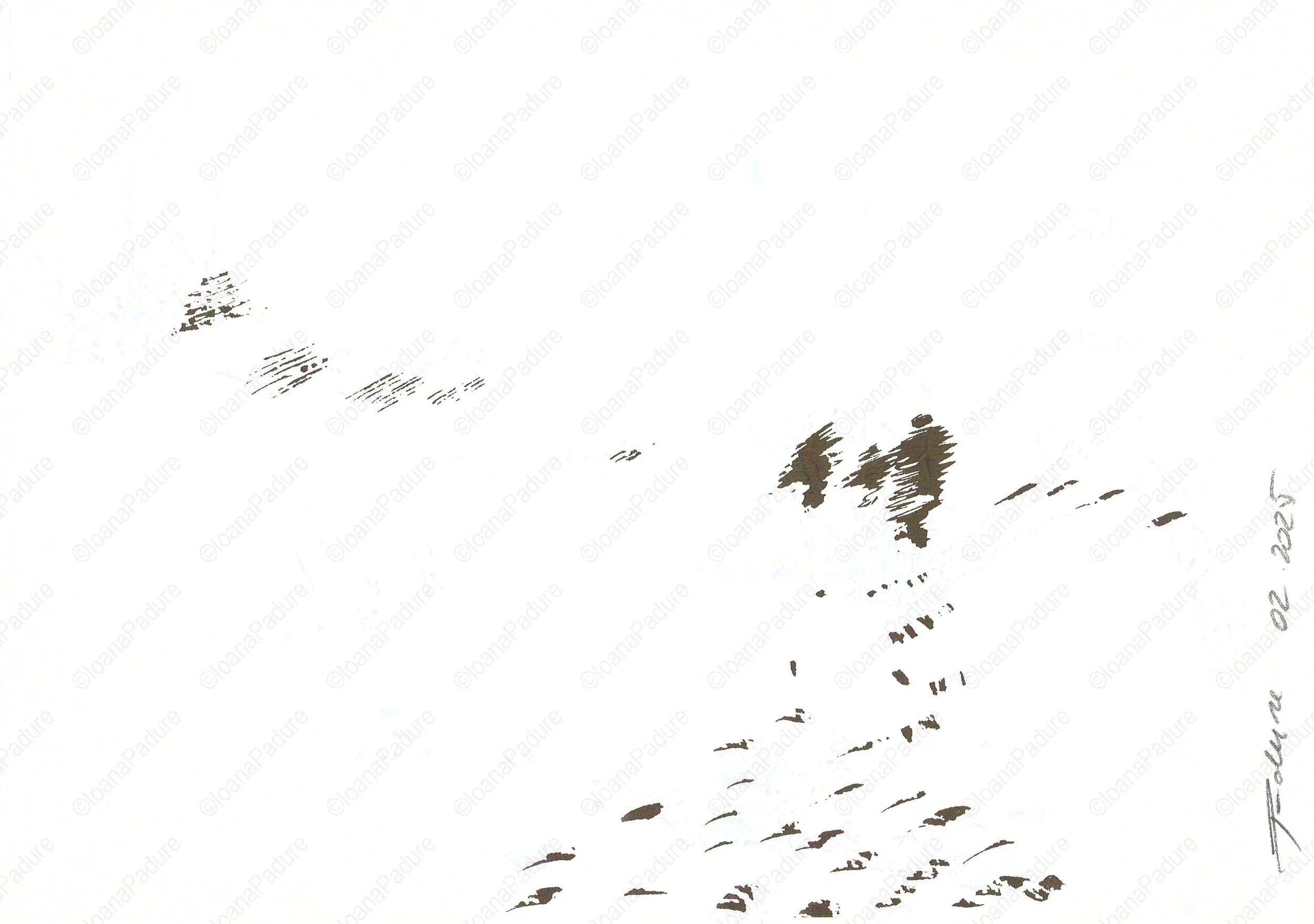ink on paper, 14.8x21cm, 02.2025 - all white series
