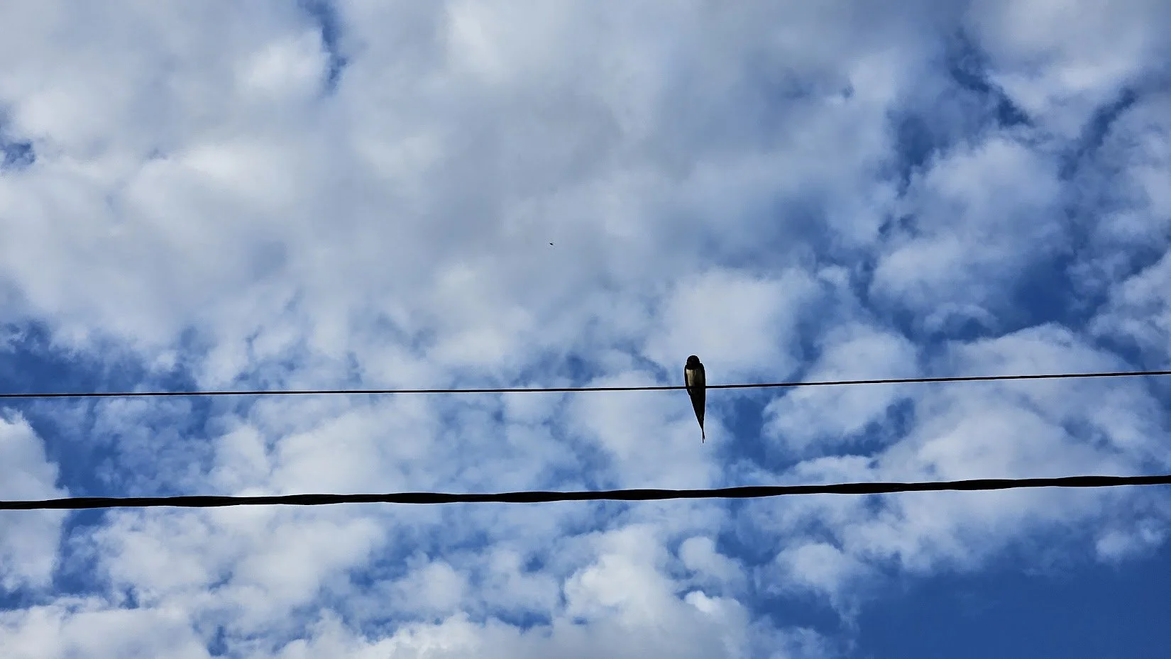 20240705_solitude_IP