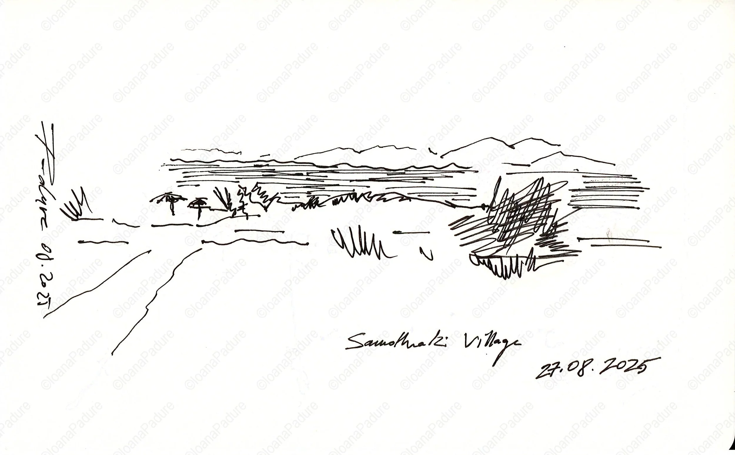 liner on paper, 13x21cm, 08.2025 (1/16)