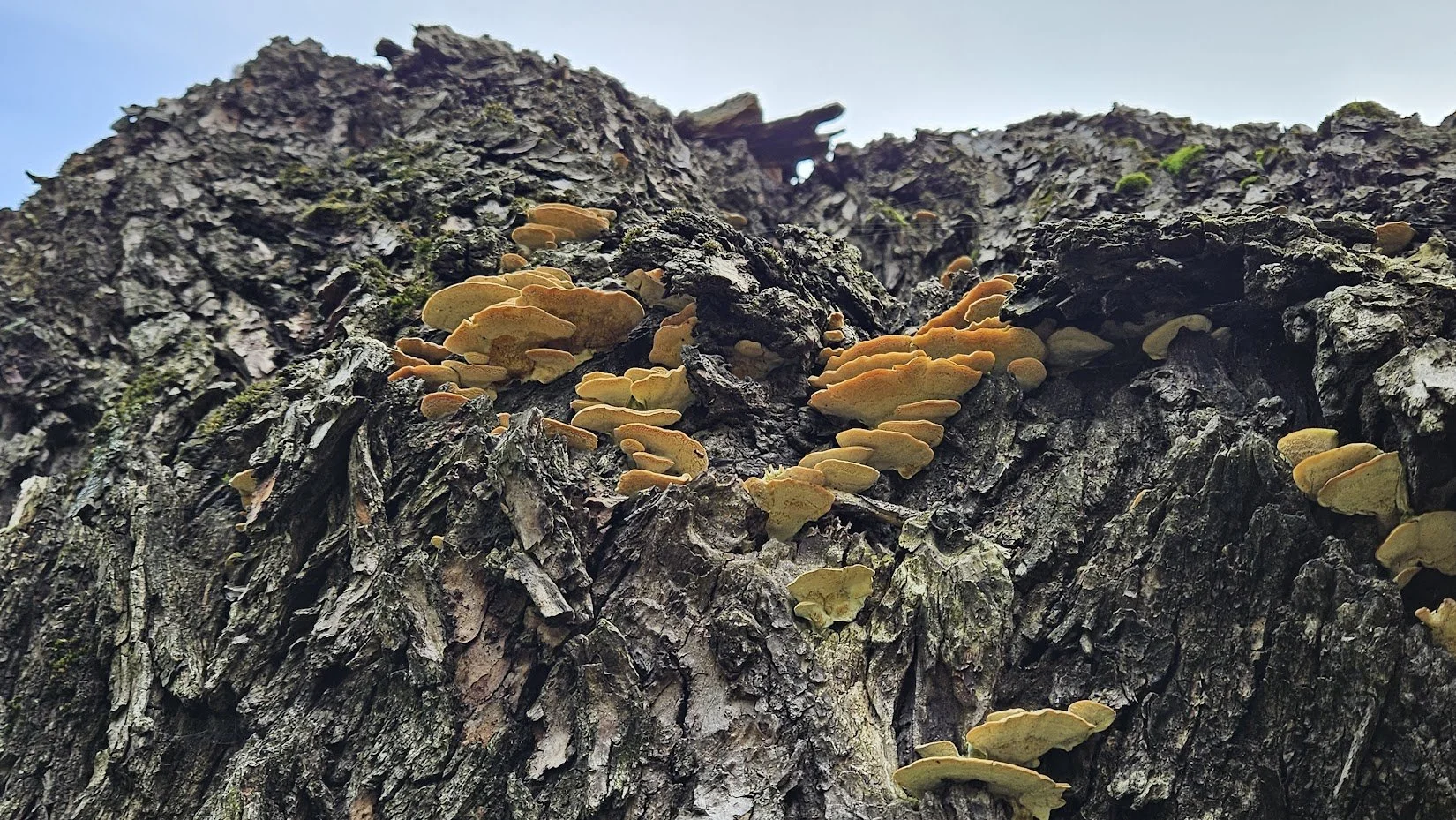 20250405_textures_IP