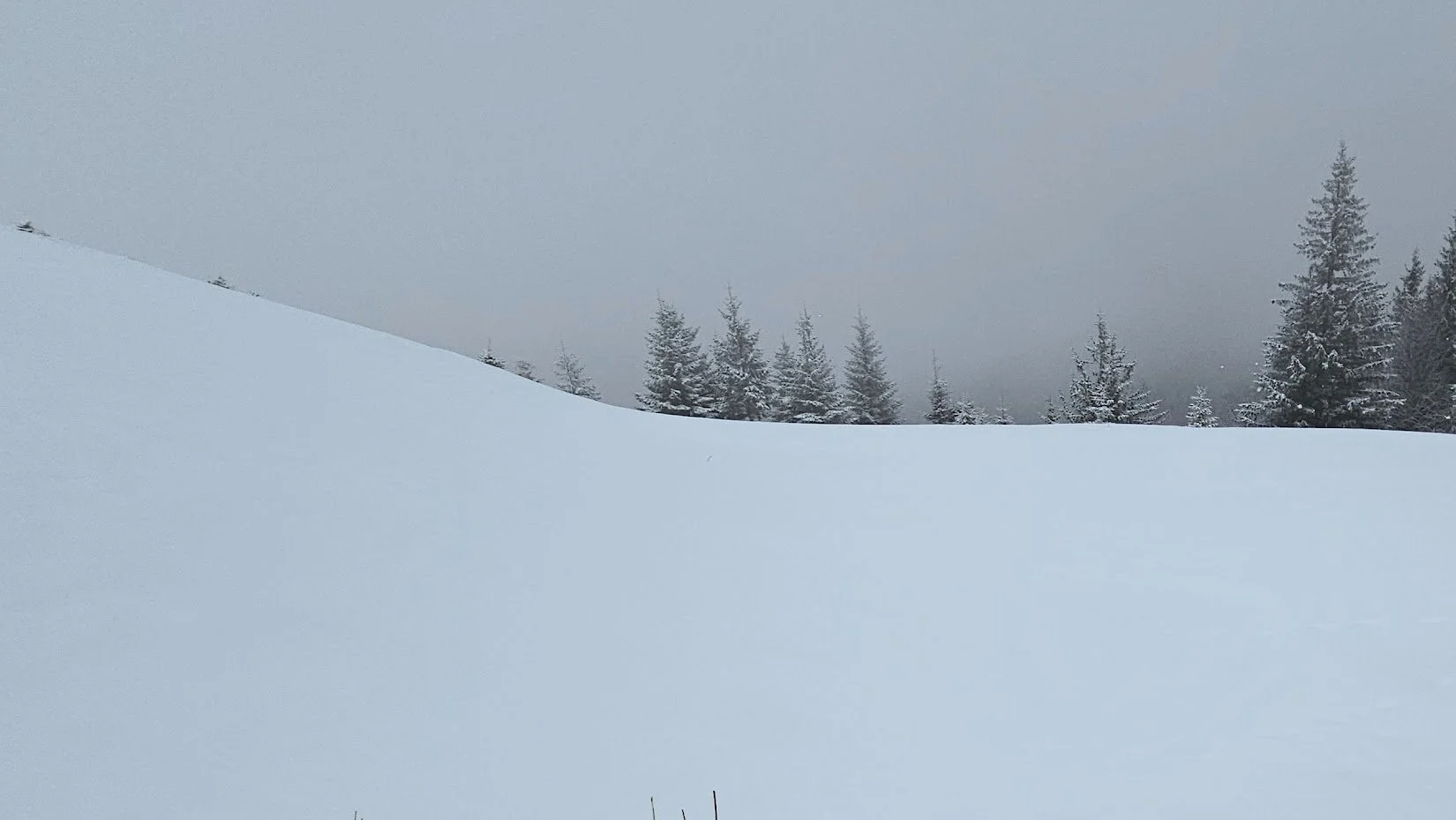 20250215__all white 3_IP