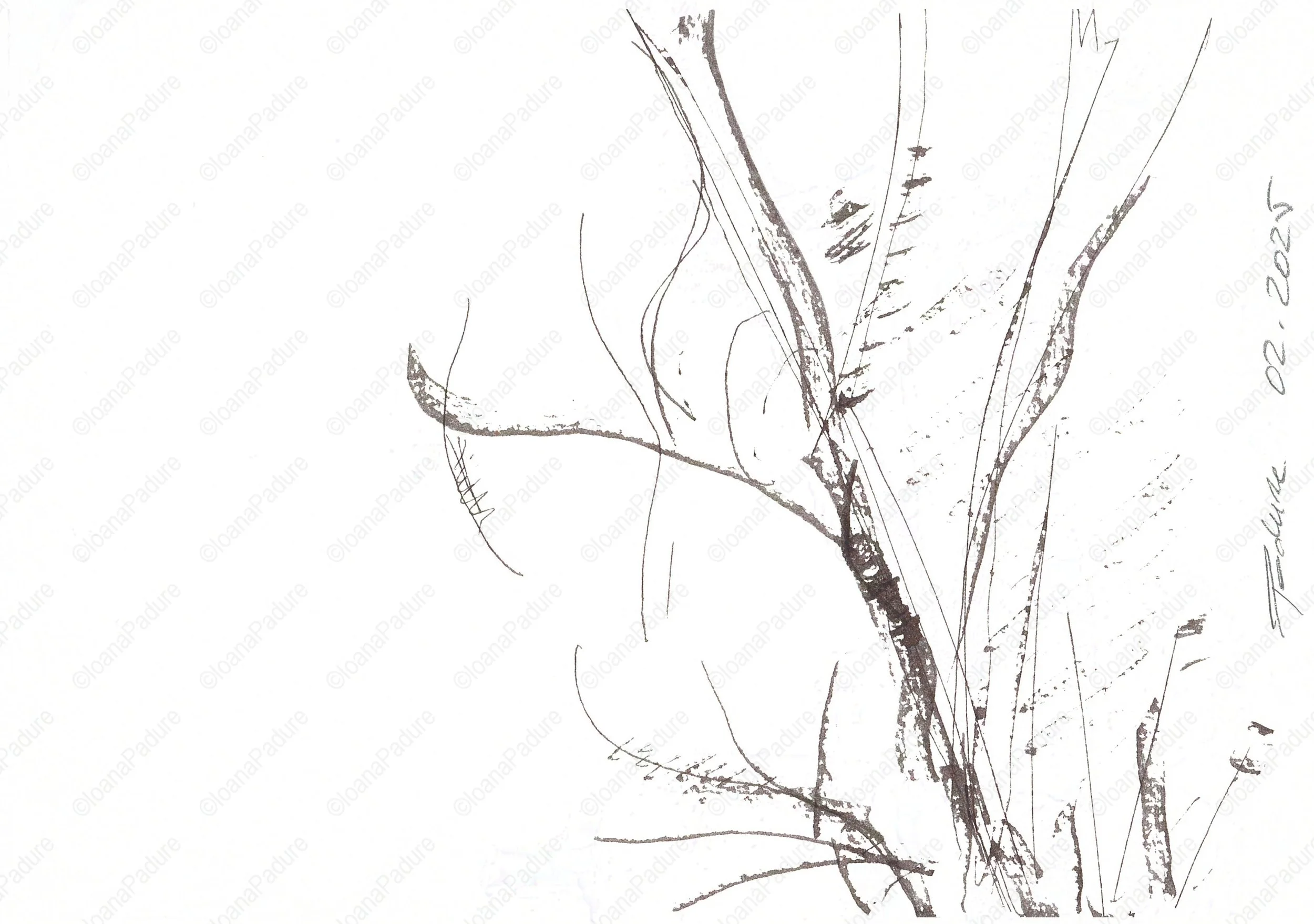 ink on paper, 14.8x21cm, 02.2025 - all white series