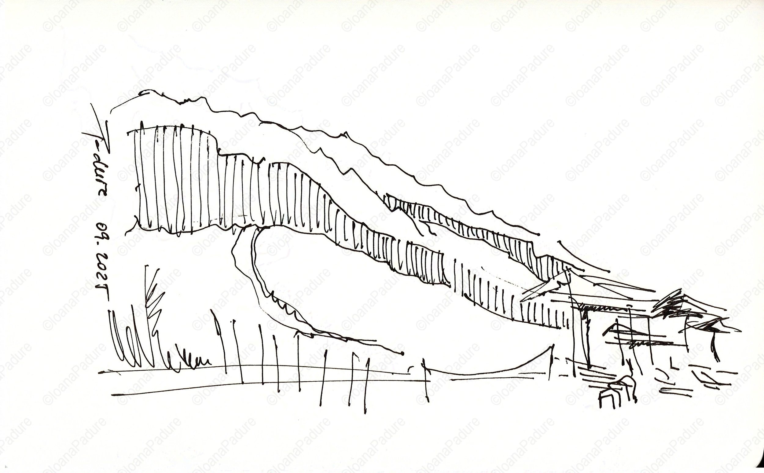 liner on paper, 13x21cm, 09.2025 (13/16)