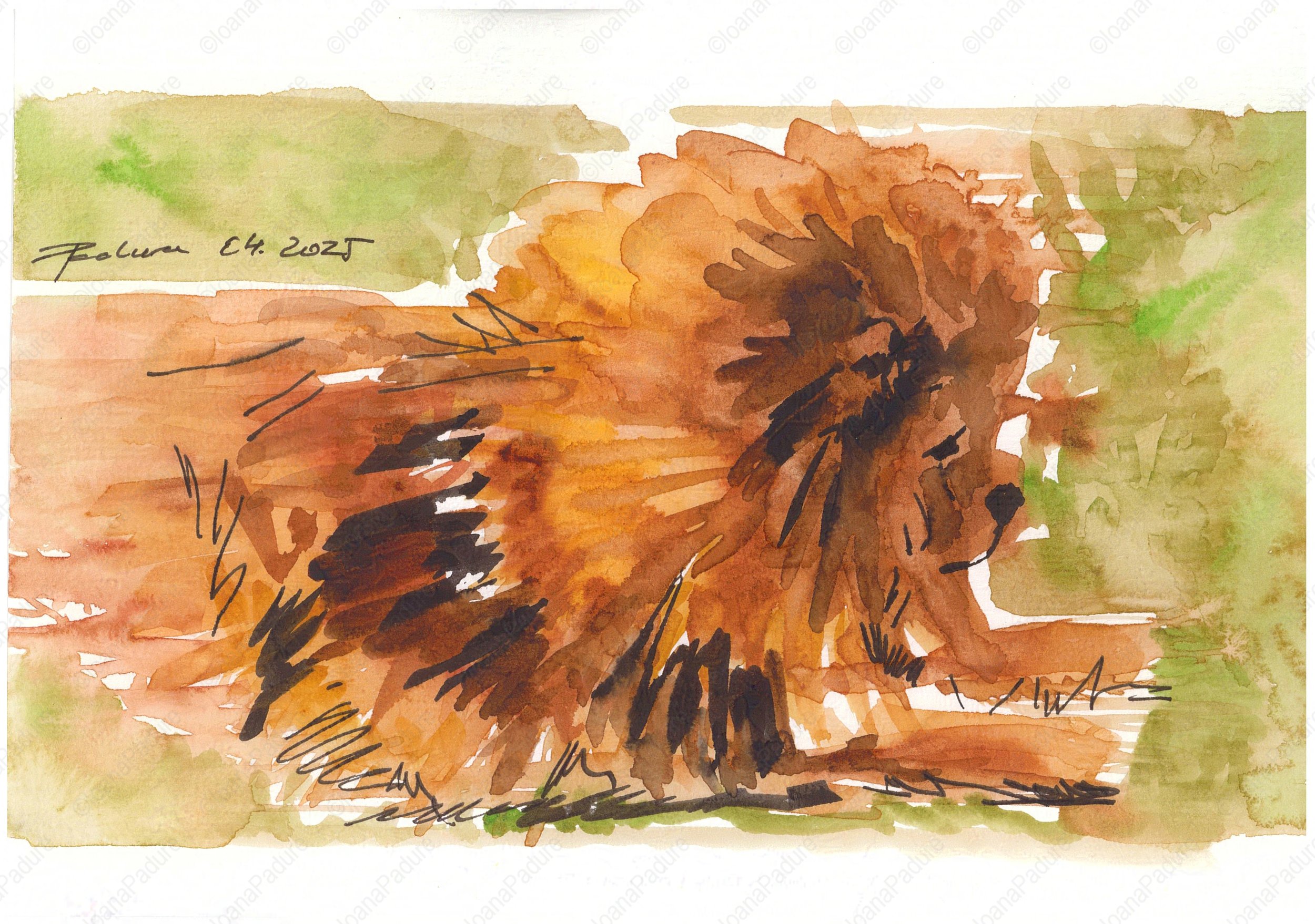 watecolours on paper, 14.8x21cm, 04.2025