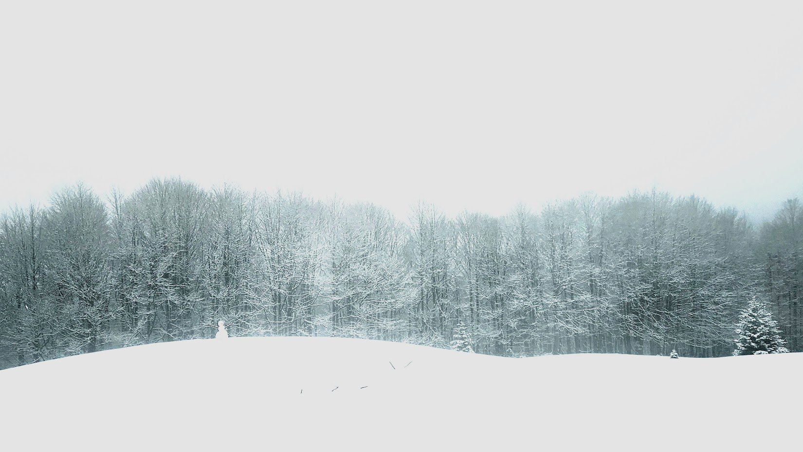 20250215__all white 4_IP