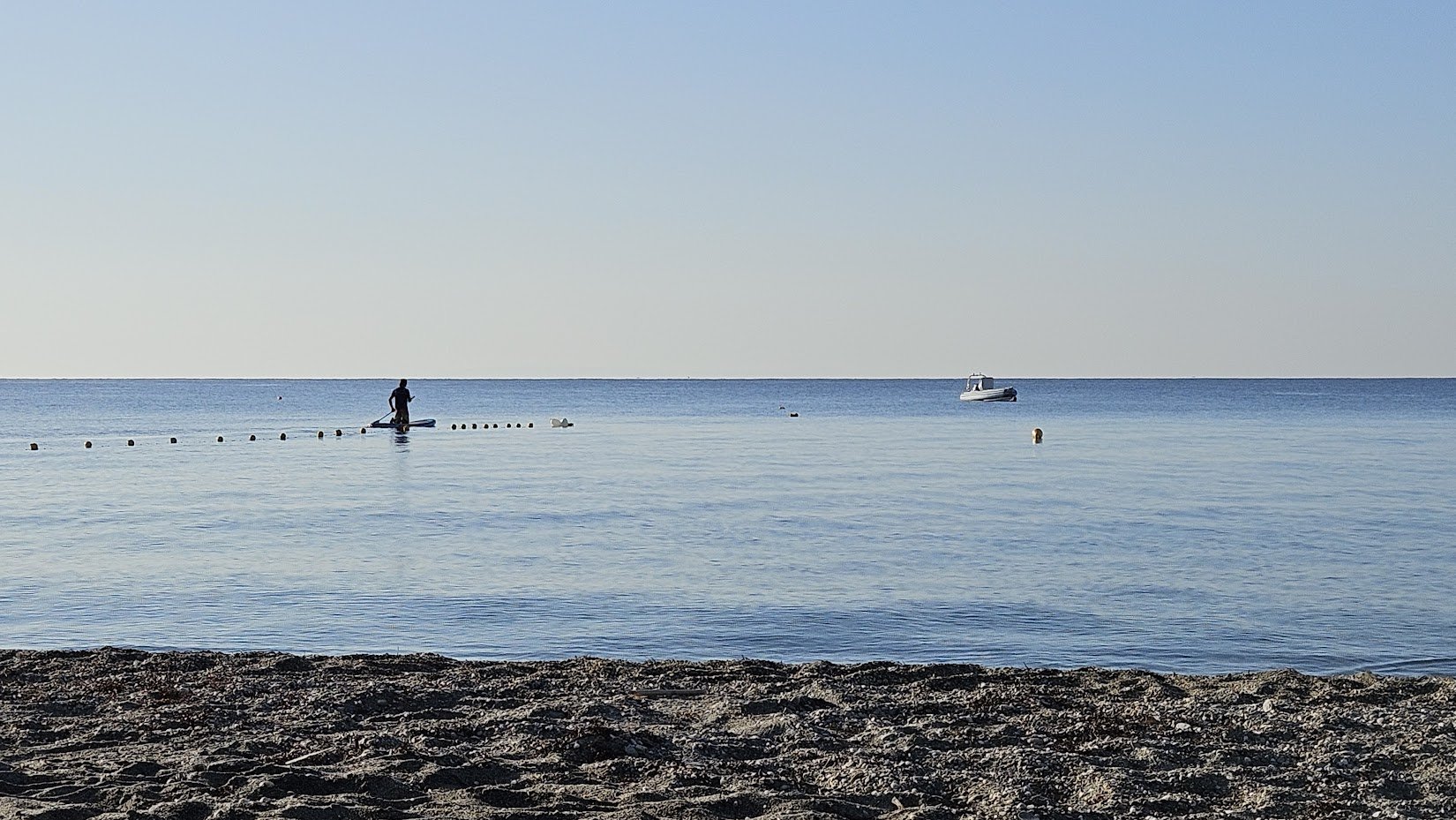 20240906_morning zen_IP