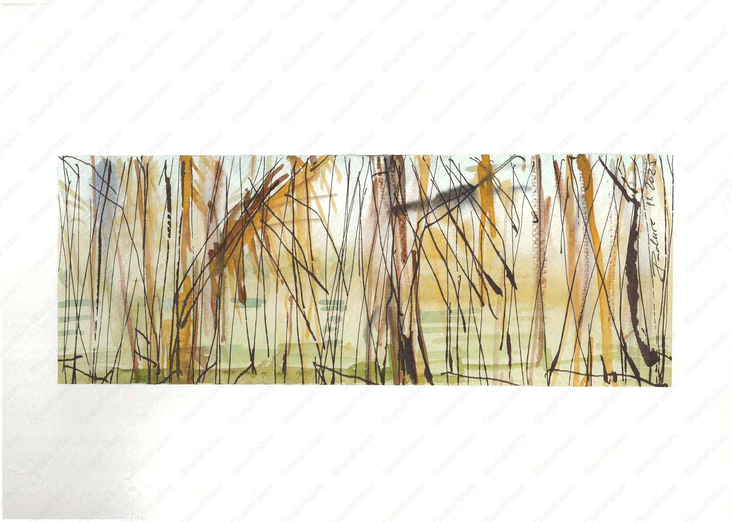 watercolours on paper, 21x29.7cm, 11.2025 (3/4)