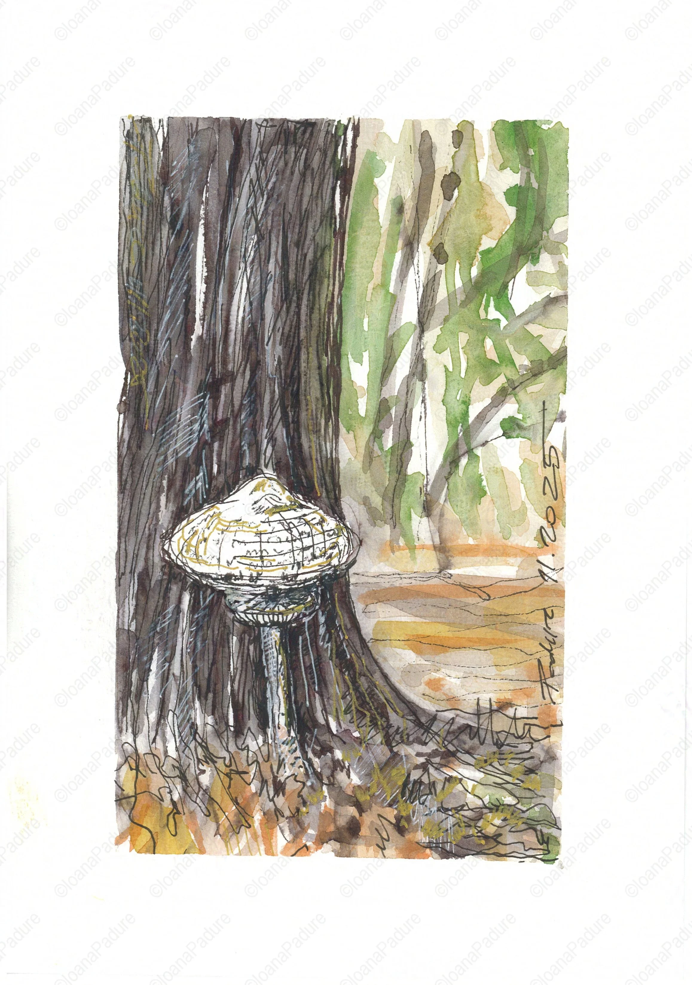 watercolours on paper, 14.8x21cm, 11.2025 (1/6)