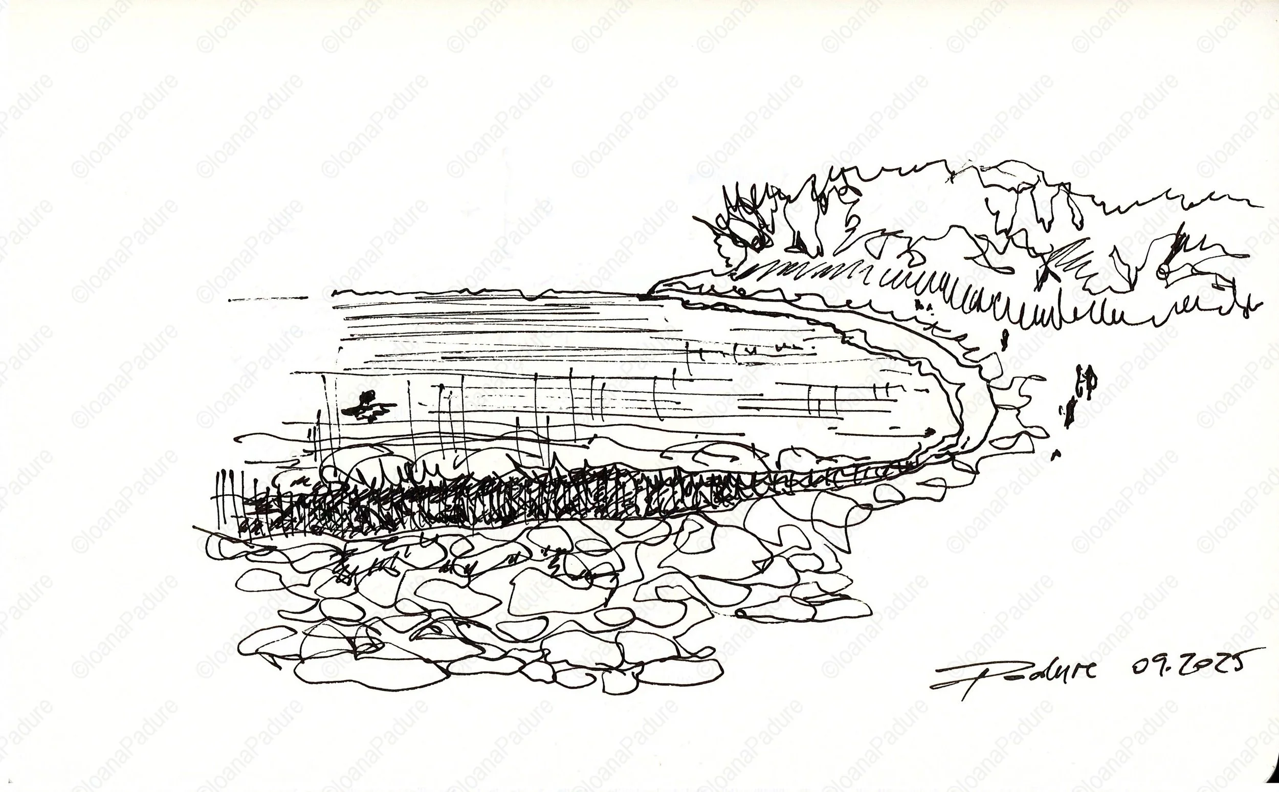 liner on paper, 13x21cm, 09.2025 (12/16)