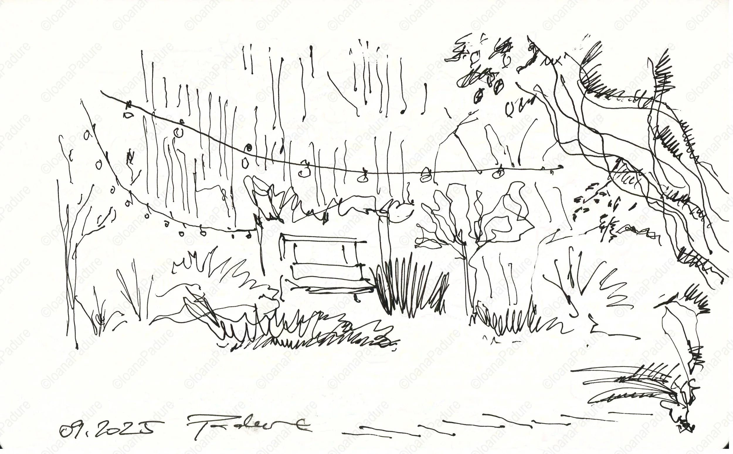 liner on paper, 13x21cm, 09.2025