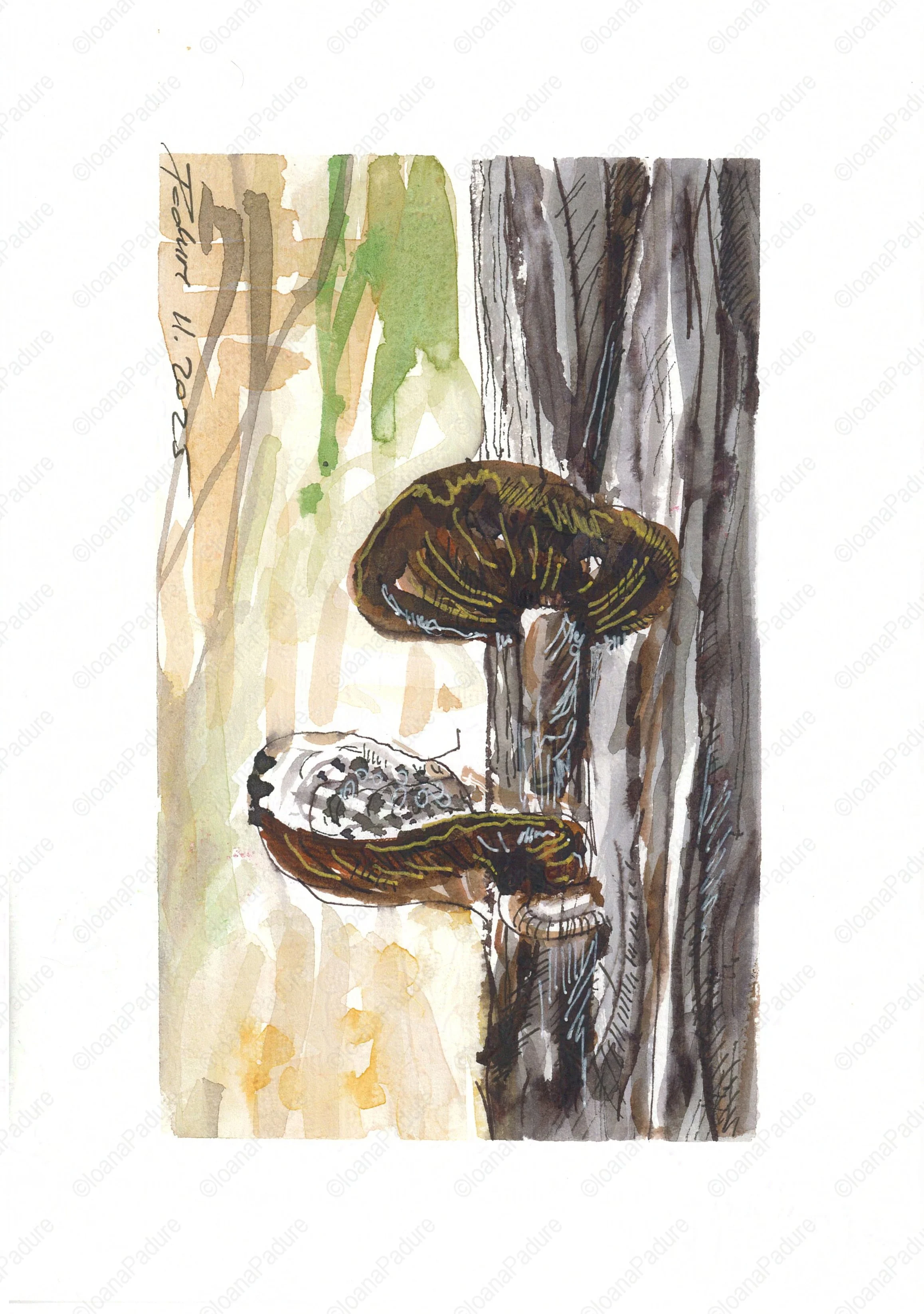 watercolours on paper, 14.8x21cm, 11.2025 (6/6)