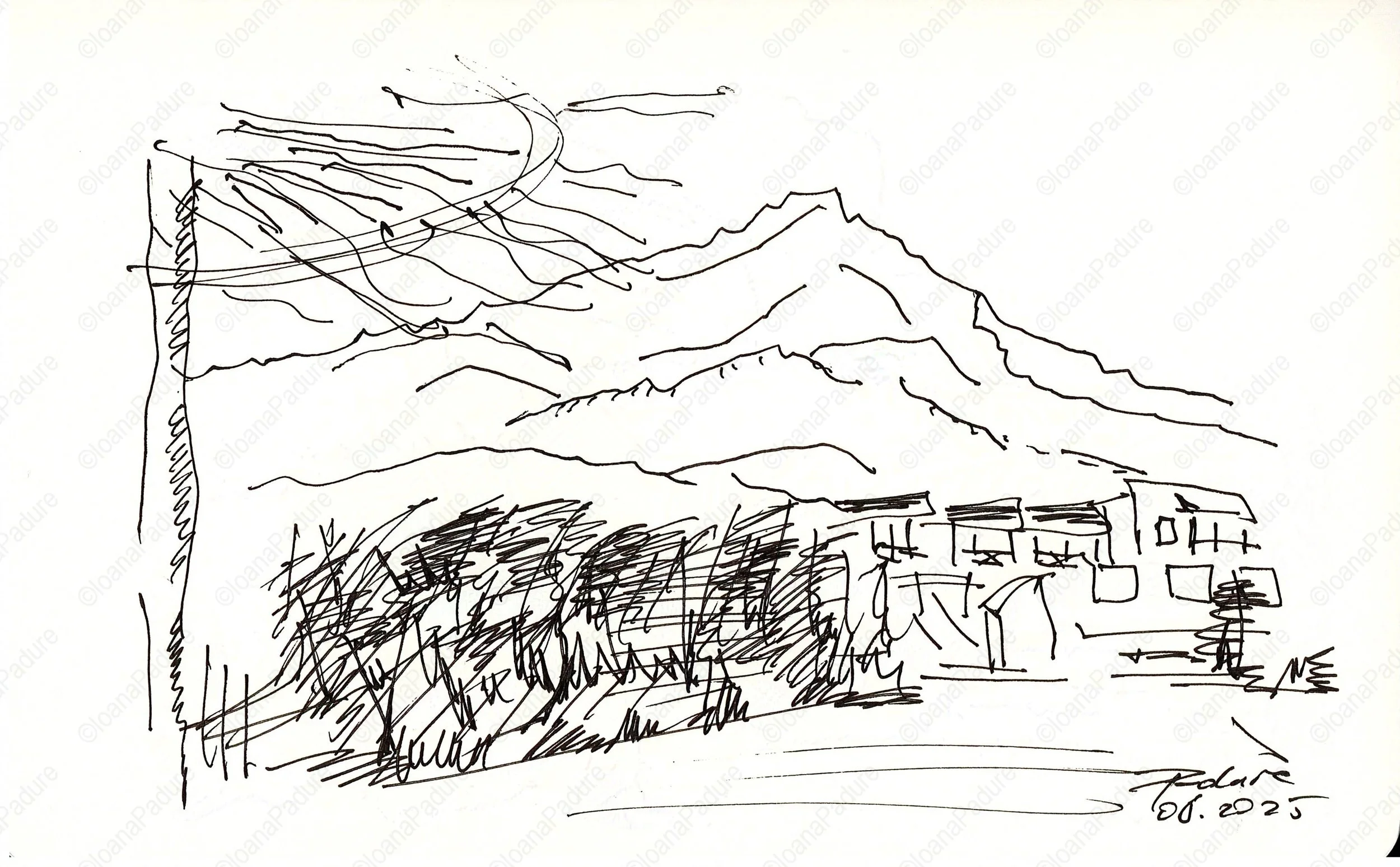 liner on paper, 13x21cm, 08.2025 (4/16)