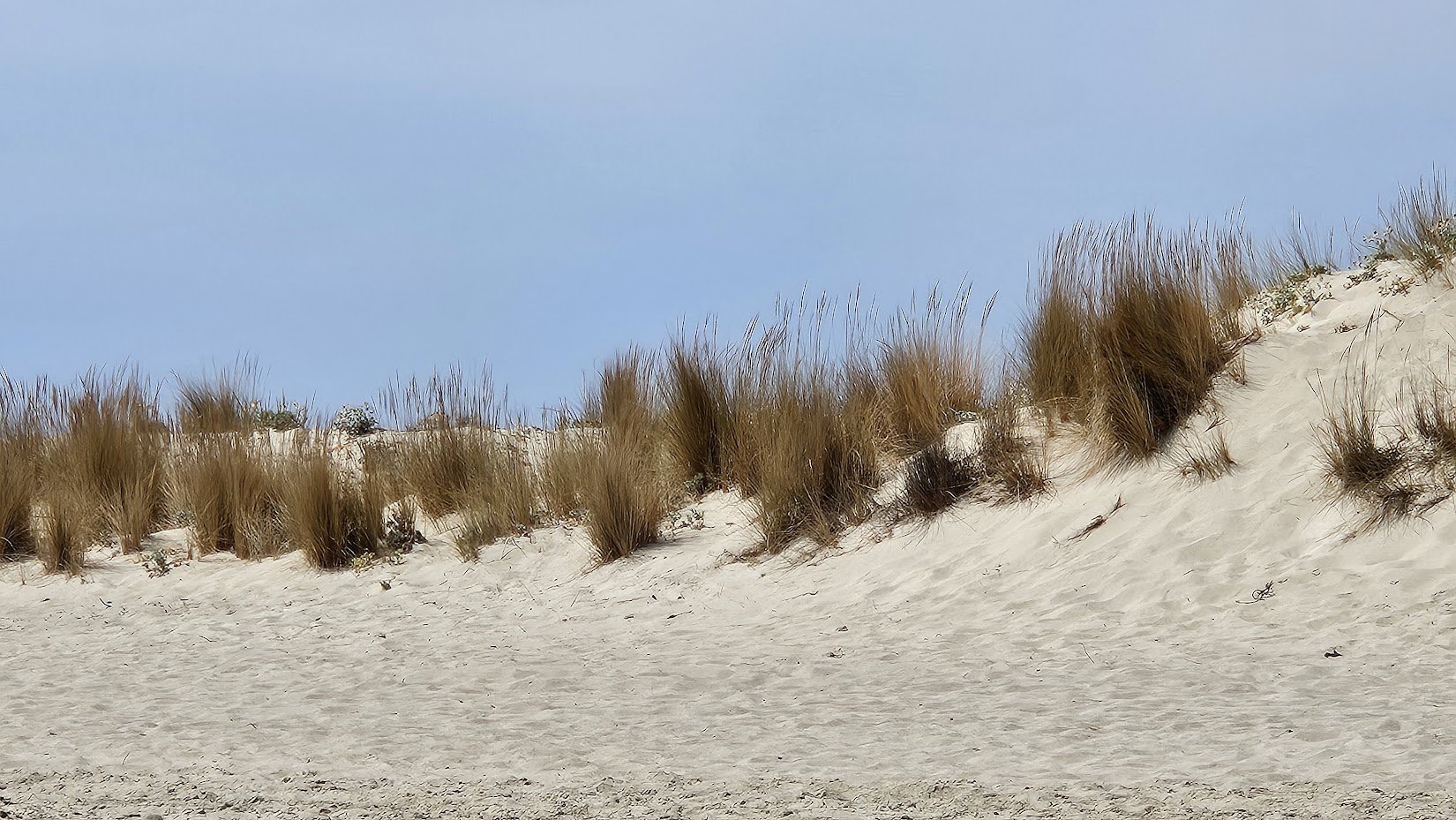 20240905_dunes_IP