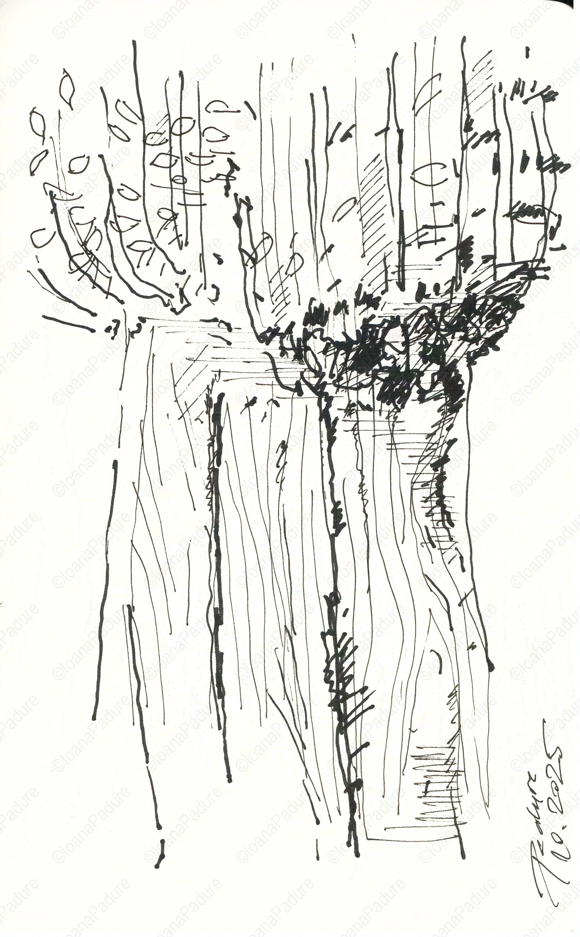 liner on paper, 13x21cm, 10.2025 (3/3)