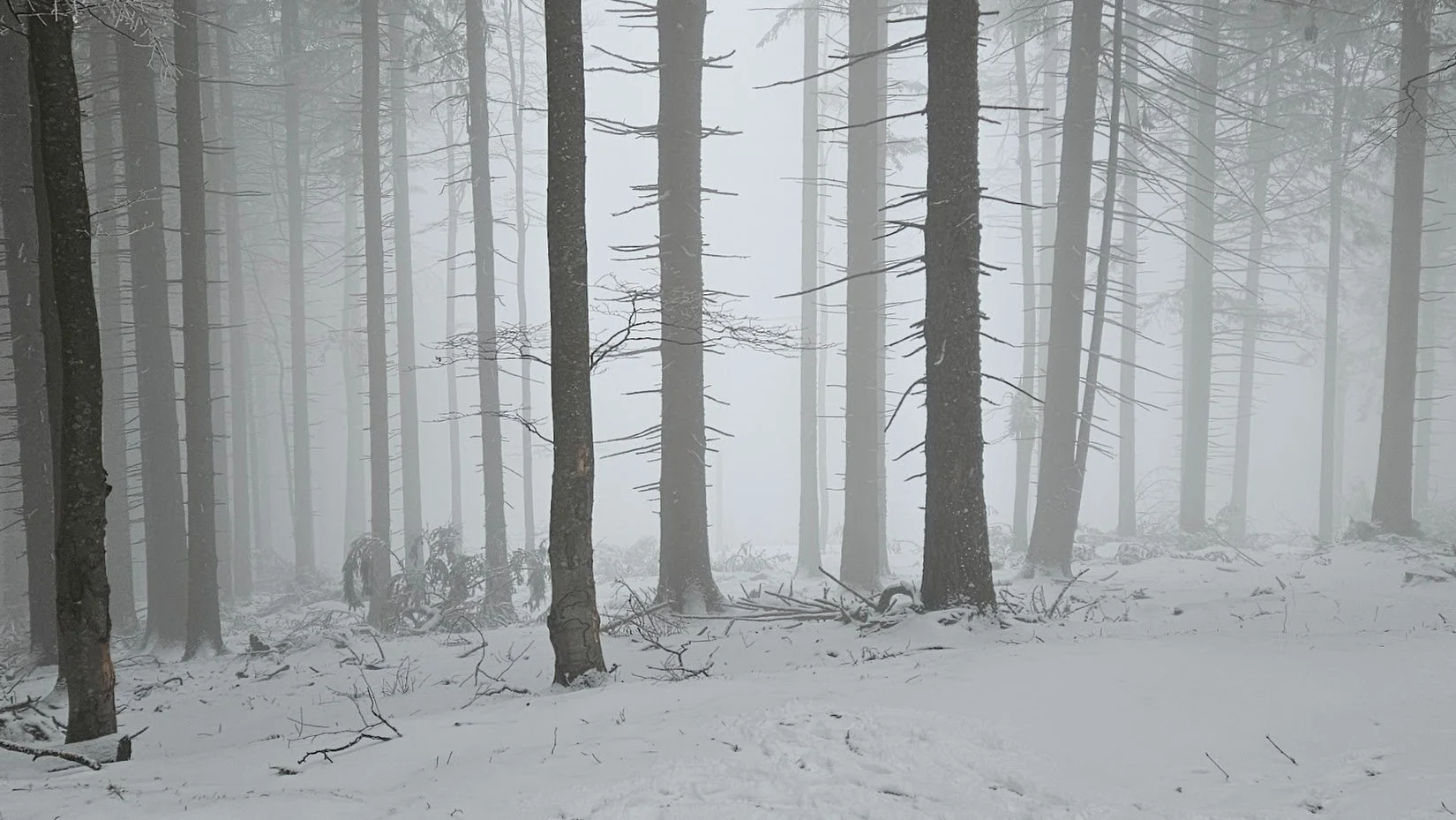 20250215__all white 5_IP