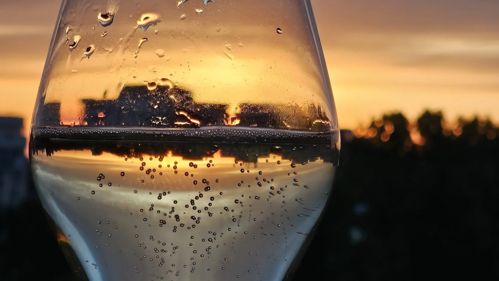 20240427_prosecco_IP