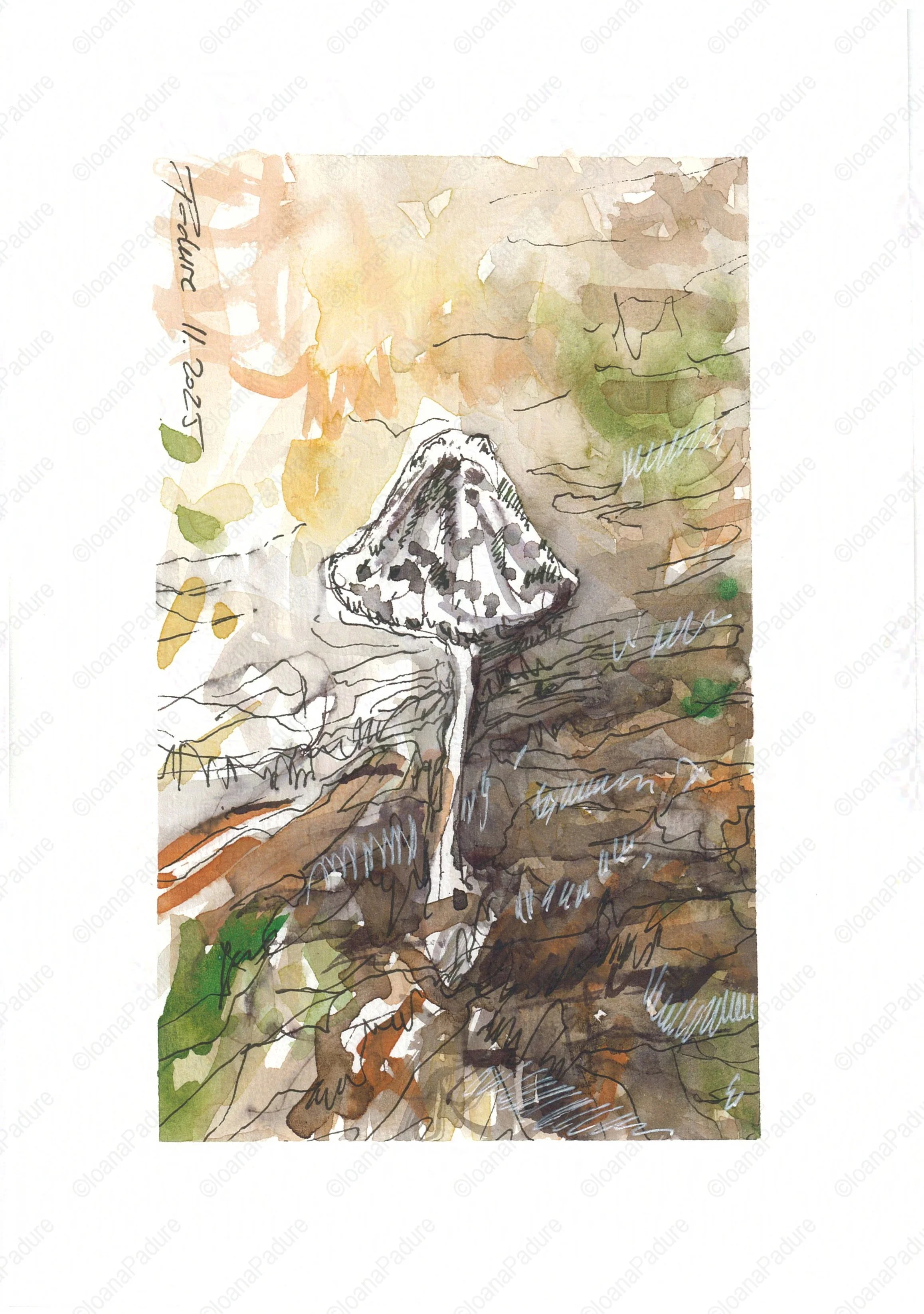 watercolours on paper, 14.8x21cm, 11.2025 (3/6)