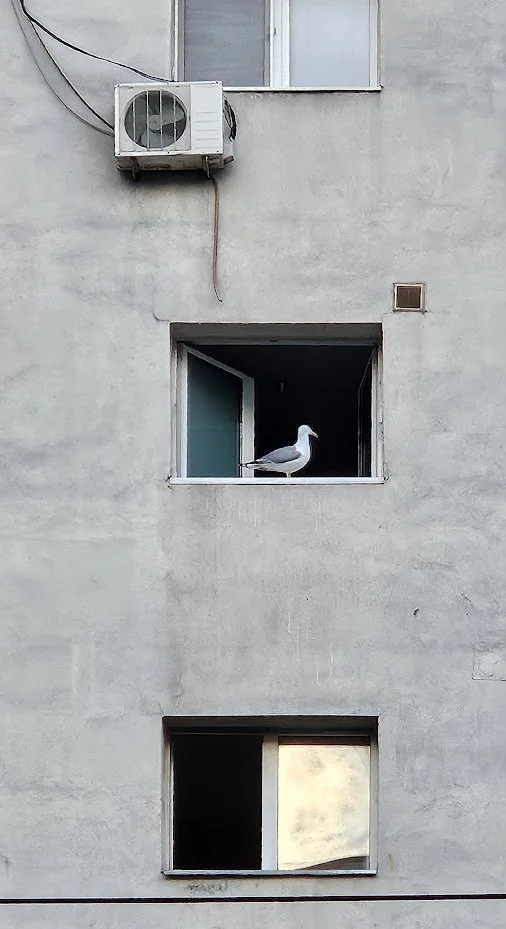 20250507_urban_IP