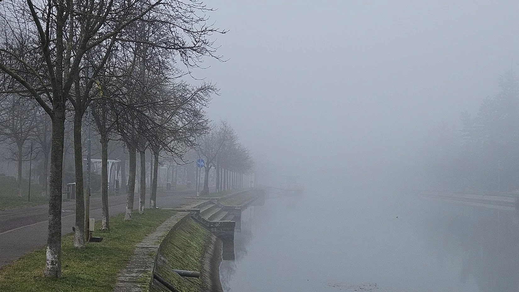 20241230_urban _IP