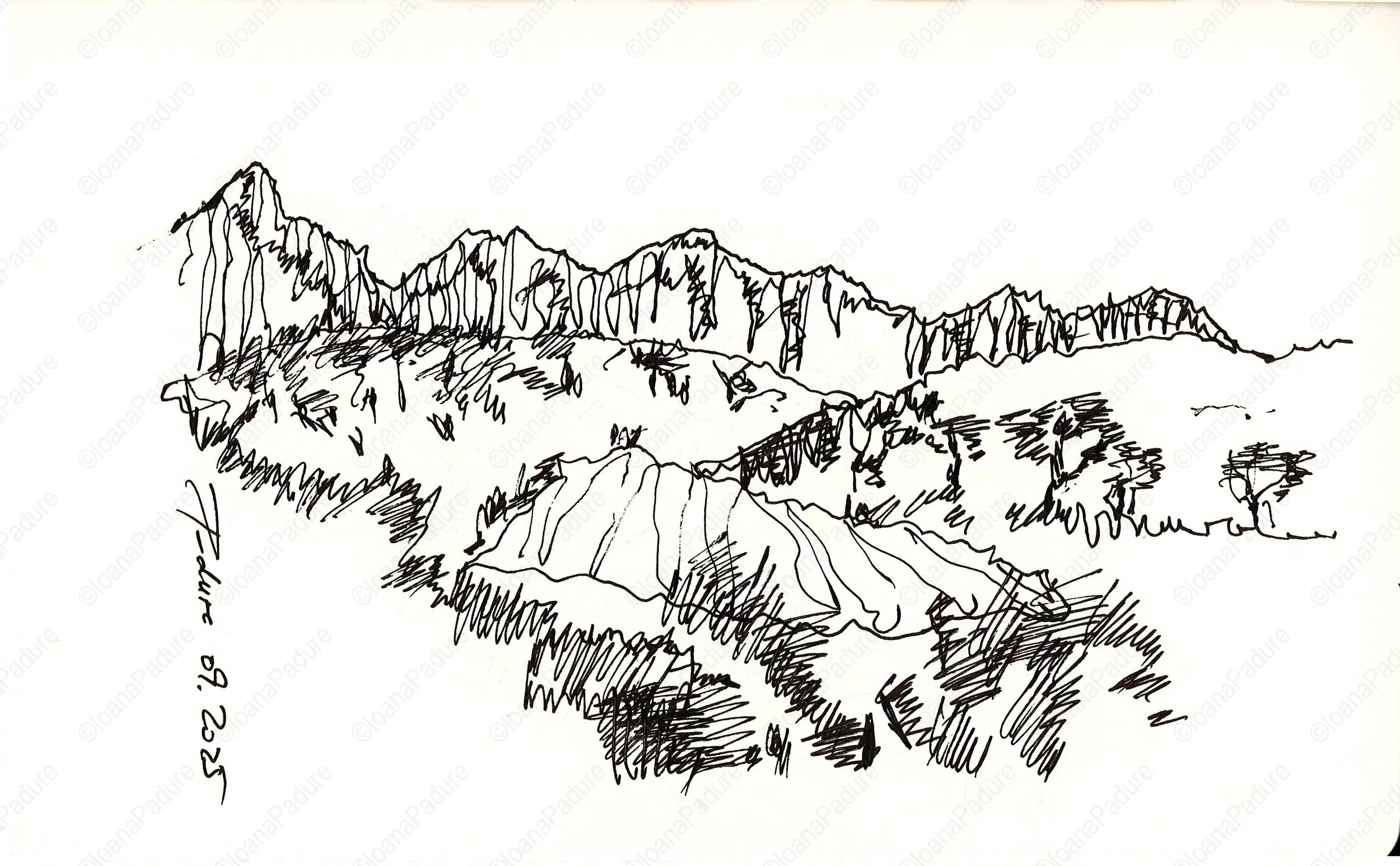 liner on paper, 13x21cm, 09.2025 (8/16)