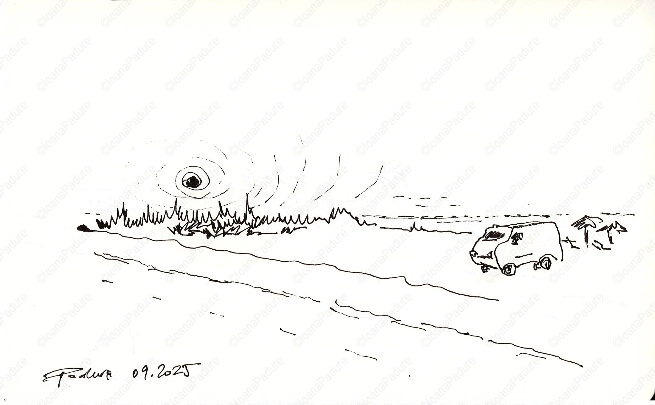 liner on paper, 13x21cm, 09.2025 (6/16)