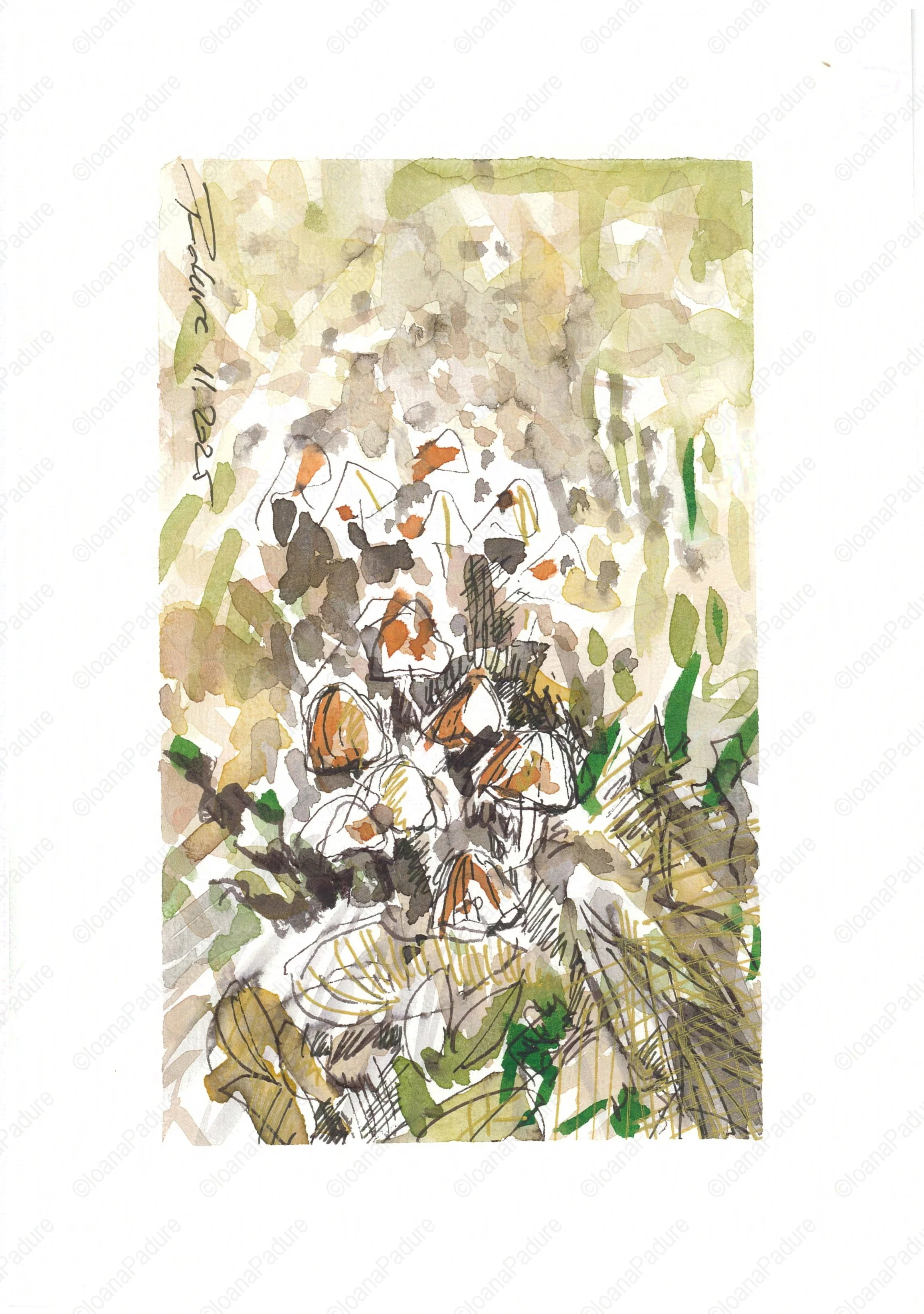 watercolours on paper, 14.8x21cm, 11.2025 (2/6)