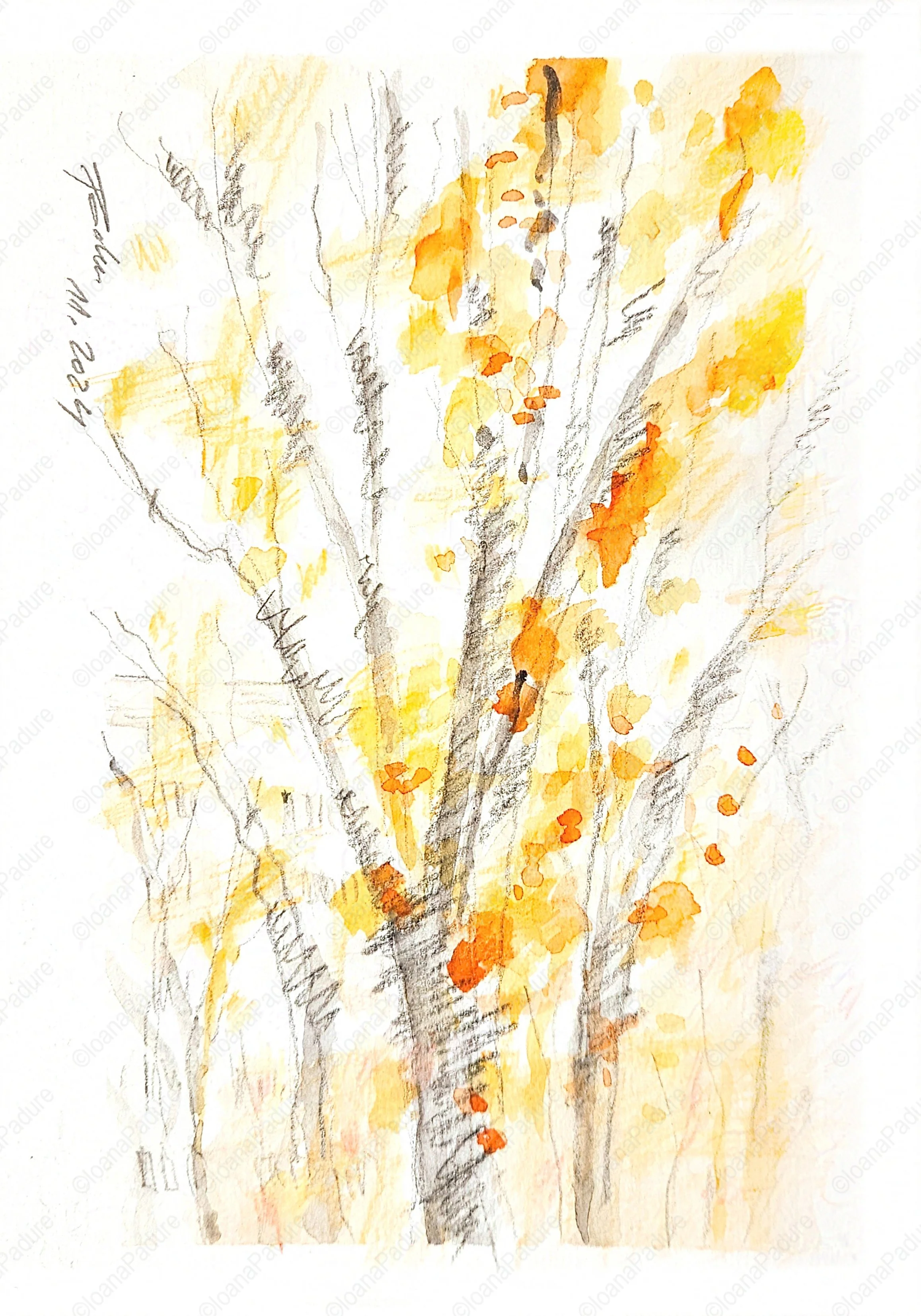 watecolours on paper, 14.8x21cm, 12.2024 - the tree series; private collection