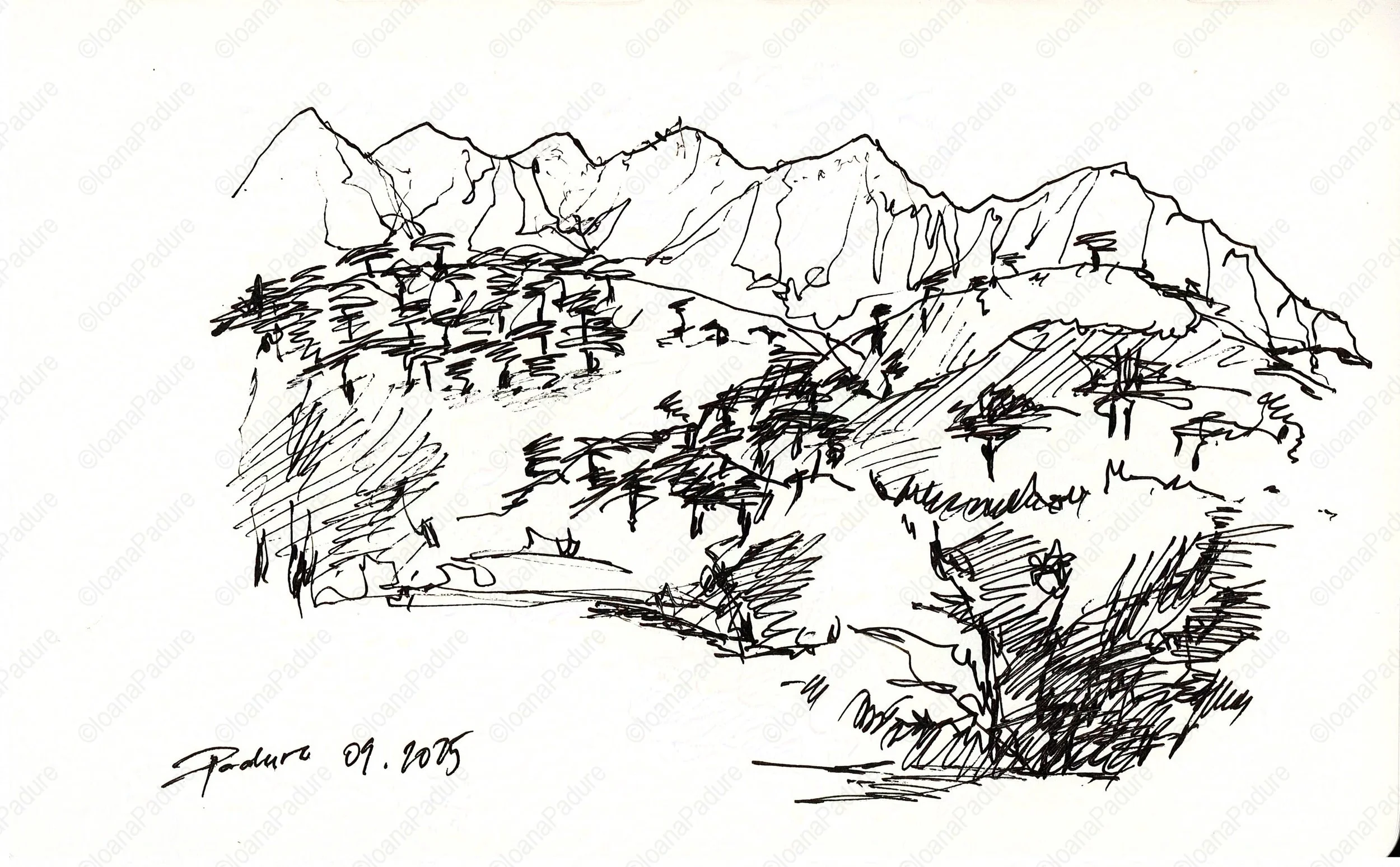 liner on paper, 13x21cm, 09.2025 (7/16)