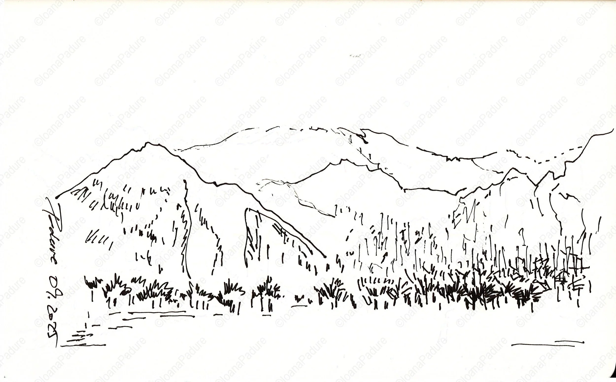 liner on paper, 13x21cm, 09.2025 (11/16)