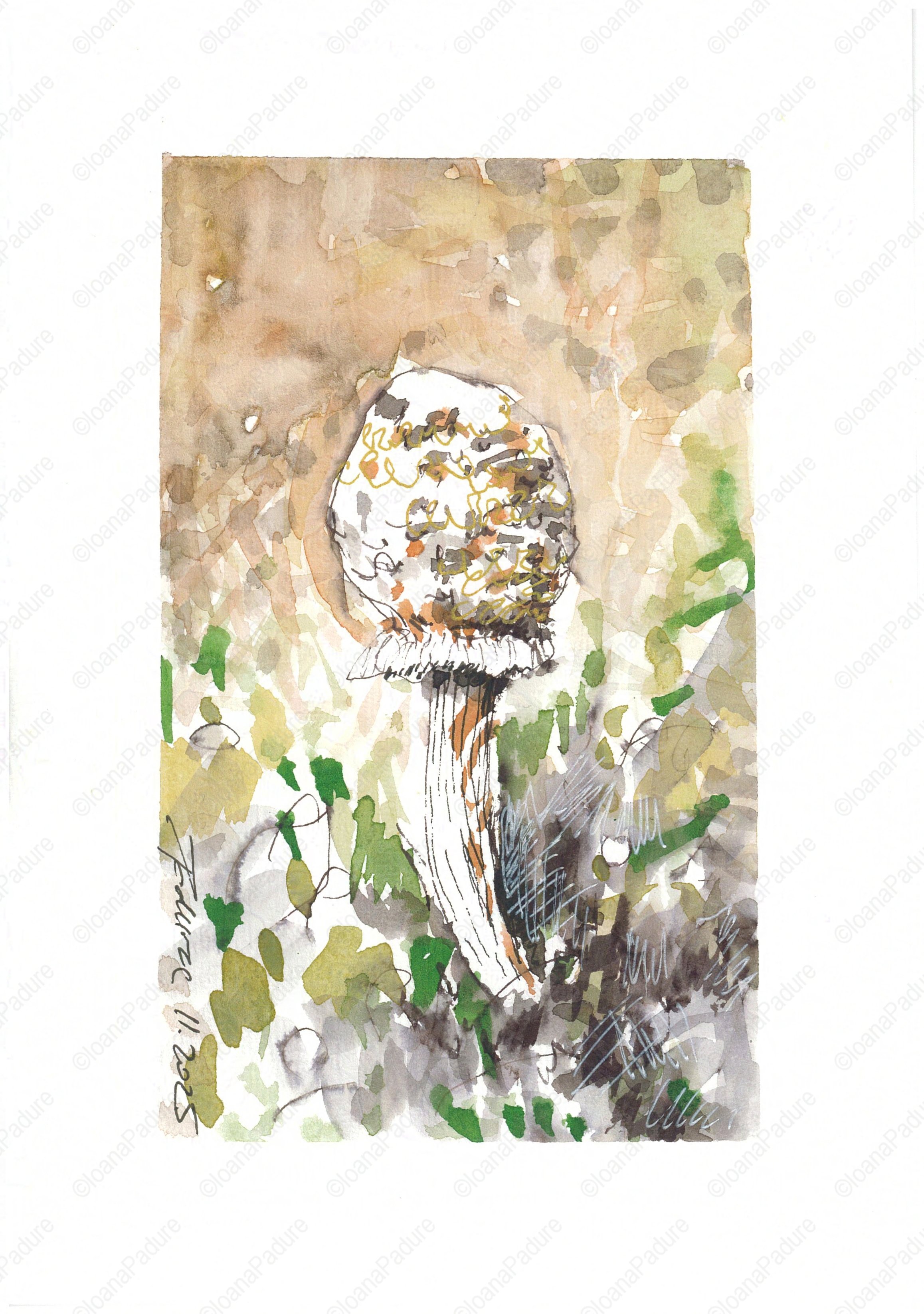 watecolours on paper, 14.8x21cm, 11.2025 - shroom miniseries