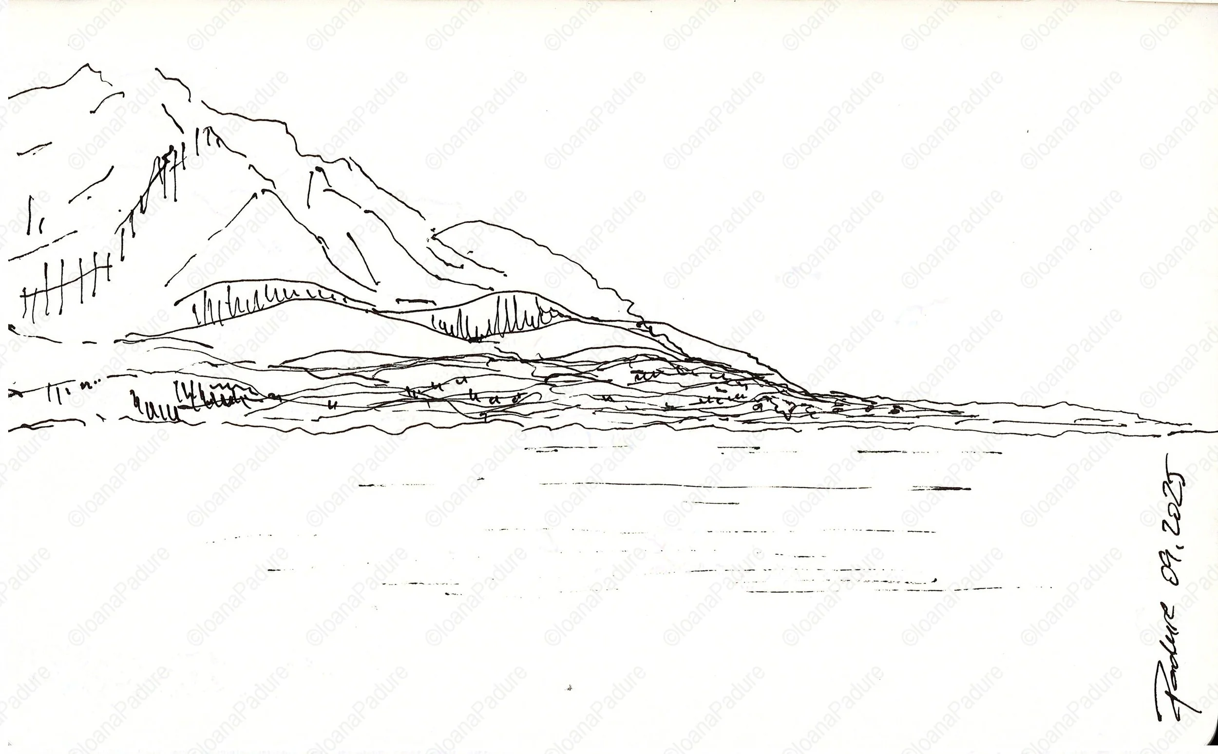 liner on paper, 13x21cm, 09.2025 (16/16)