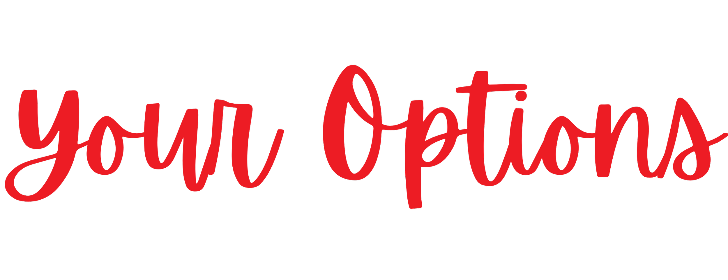 Image saying "Your Options" pertaining to the ways that SwipeRight Dating can help you update your dating profile