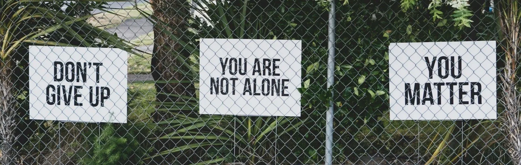 Three signs on a chain-link fence with messages: 'Don't Give Up,' 'You Are Not Alone,' and 'You Matter'.