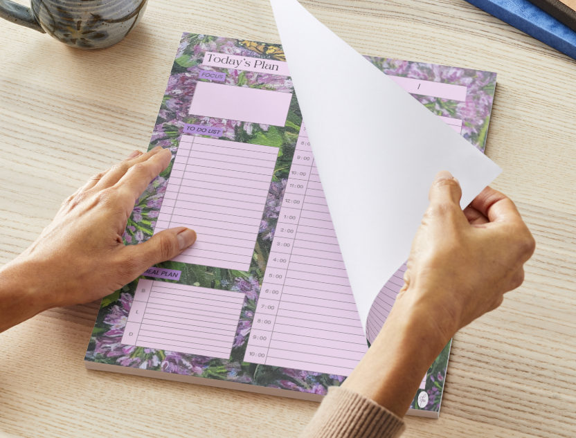 Today's Plan - BoA - 2.png