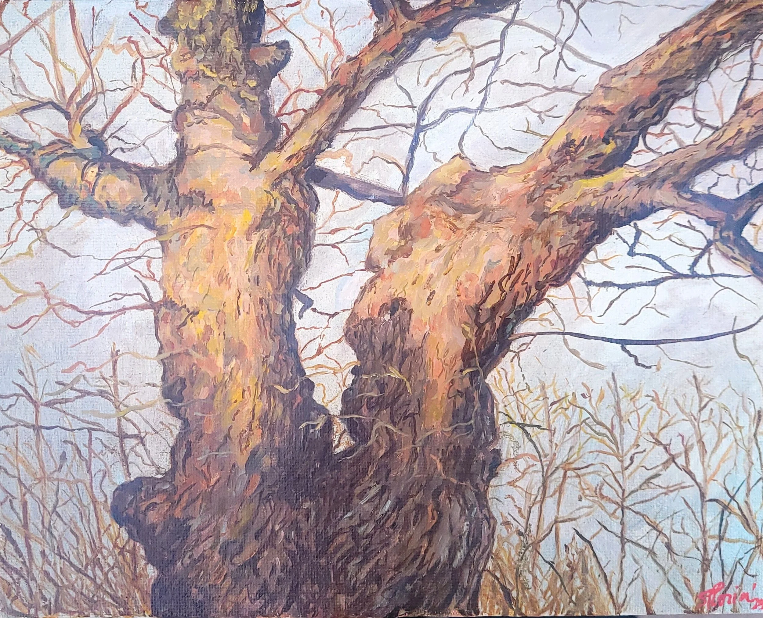 Panel Study: The Old Oak
