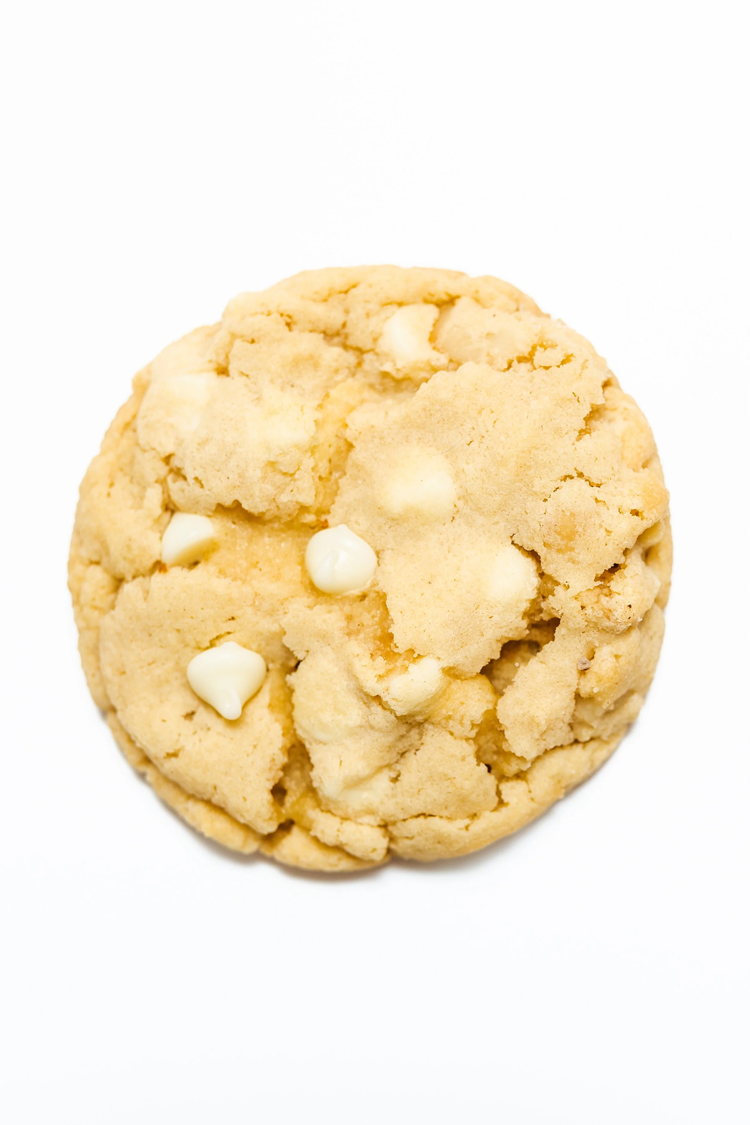 Southern Darling Butterscotch Macadamia Nut cookie