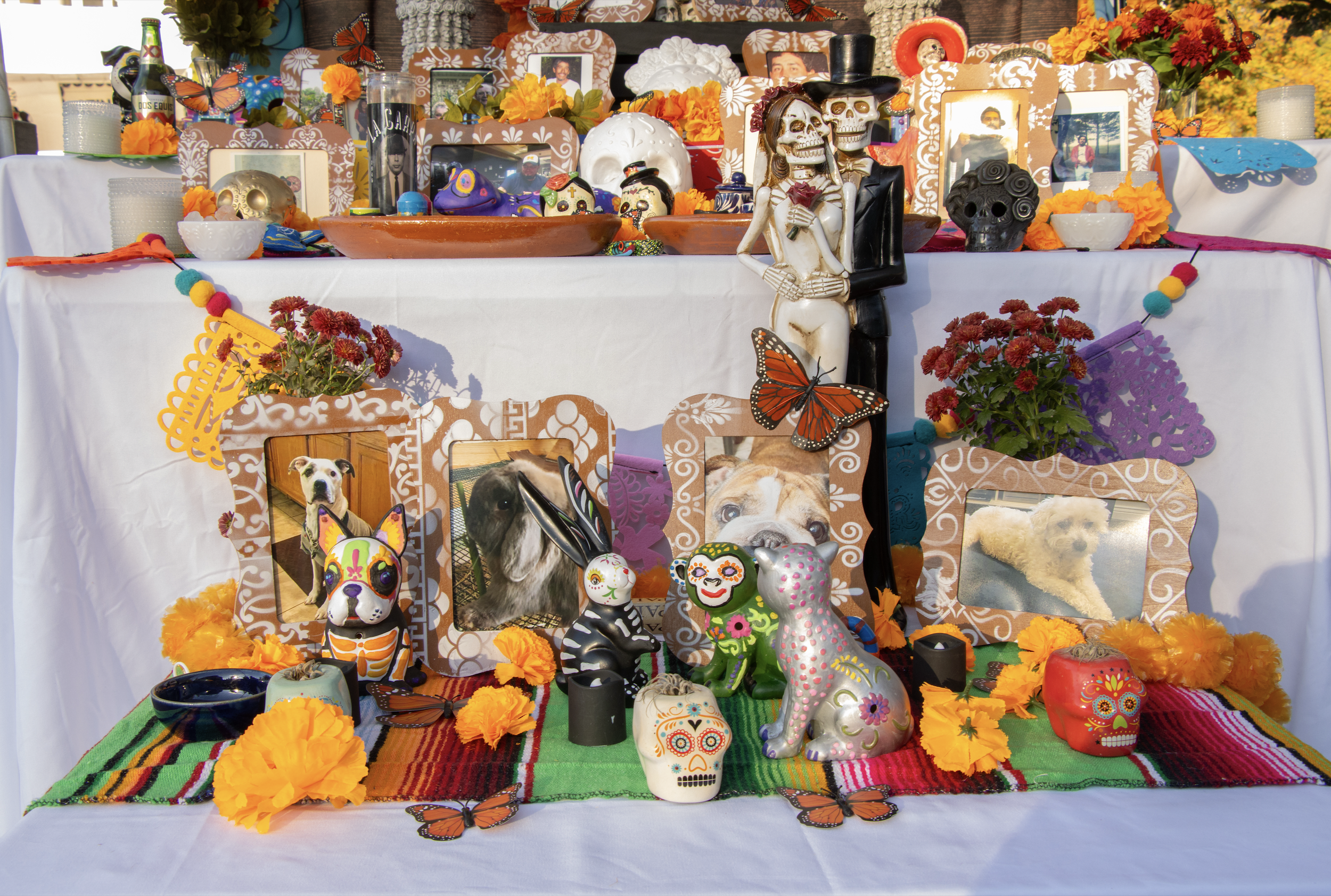 offrenda close up 1 ND.png