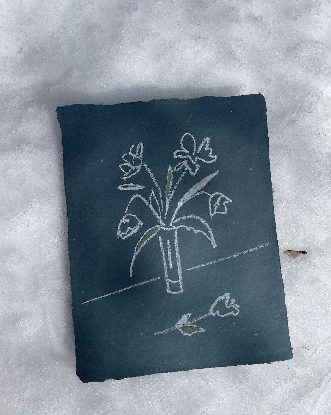 Fleurs d'hiver | Oeuvre originale