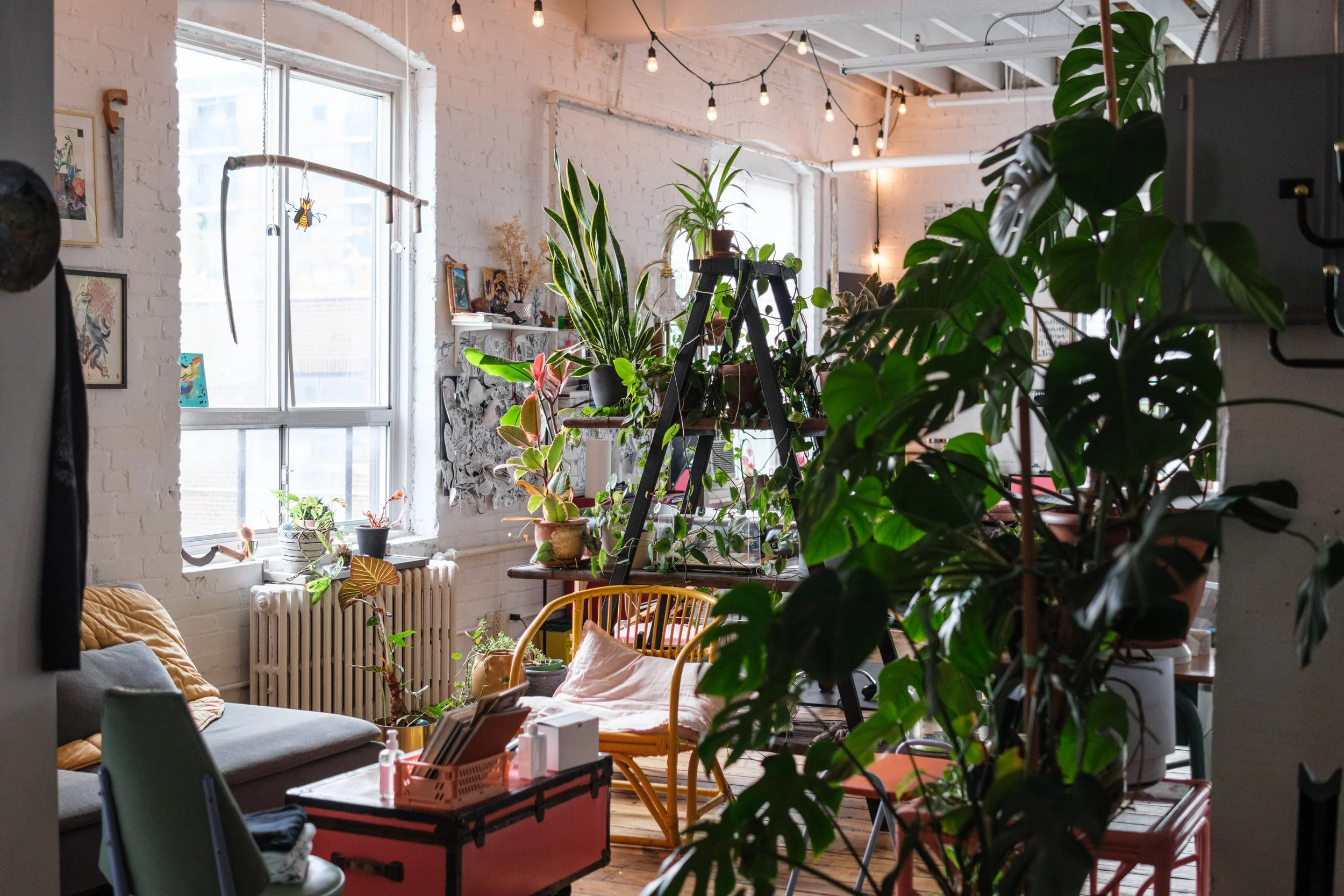 Indoor seating area with white brick walls, large windows, string lights, and numerous potted plants on shelves, tables, and stands.