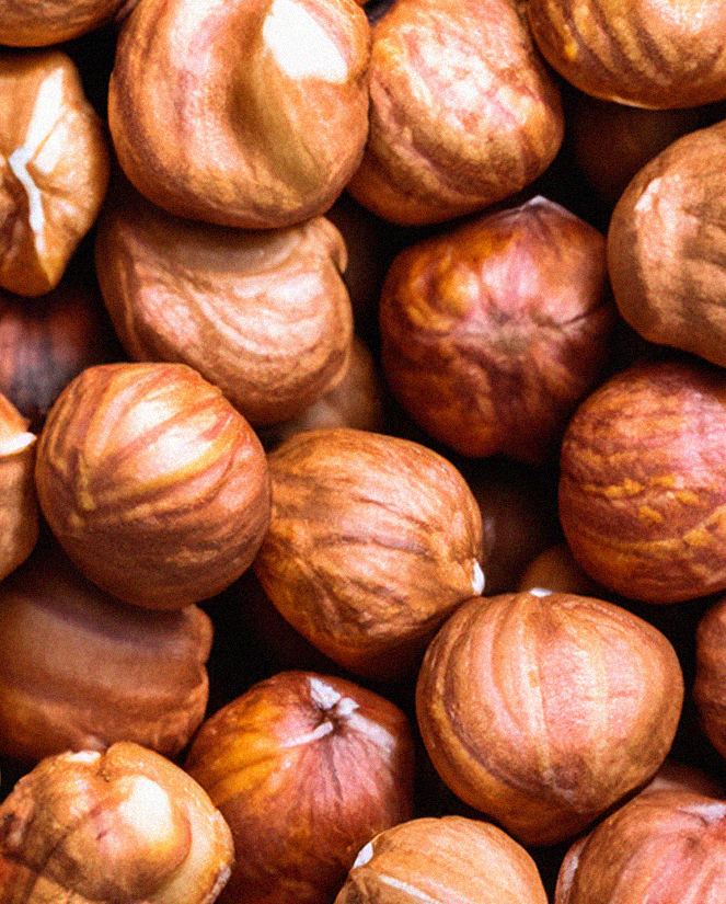 closeuphazelnut.png