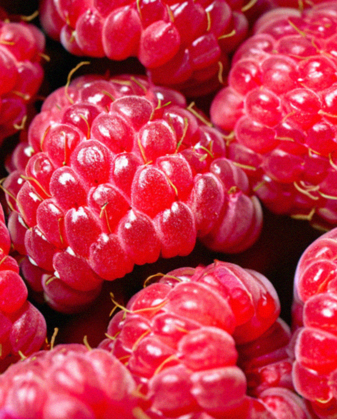 closeupraspberry.png