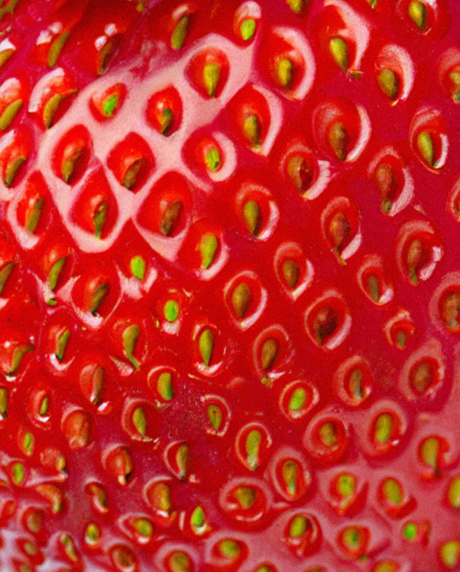 closeupstrawberry.png